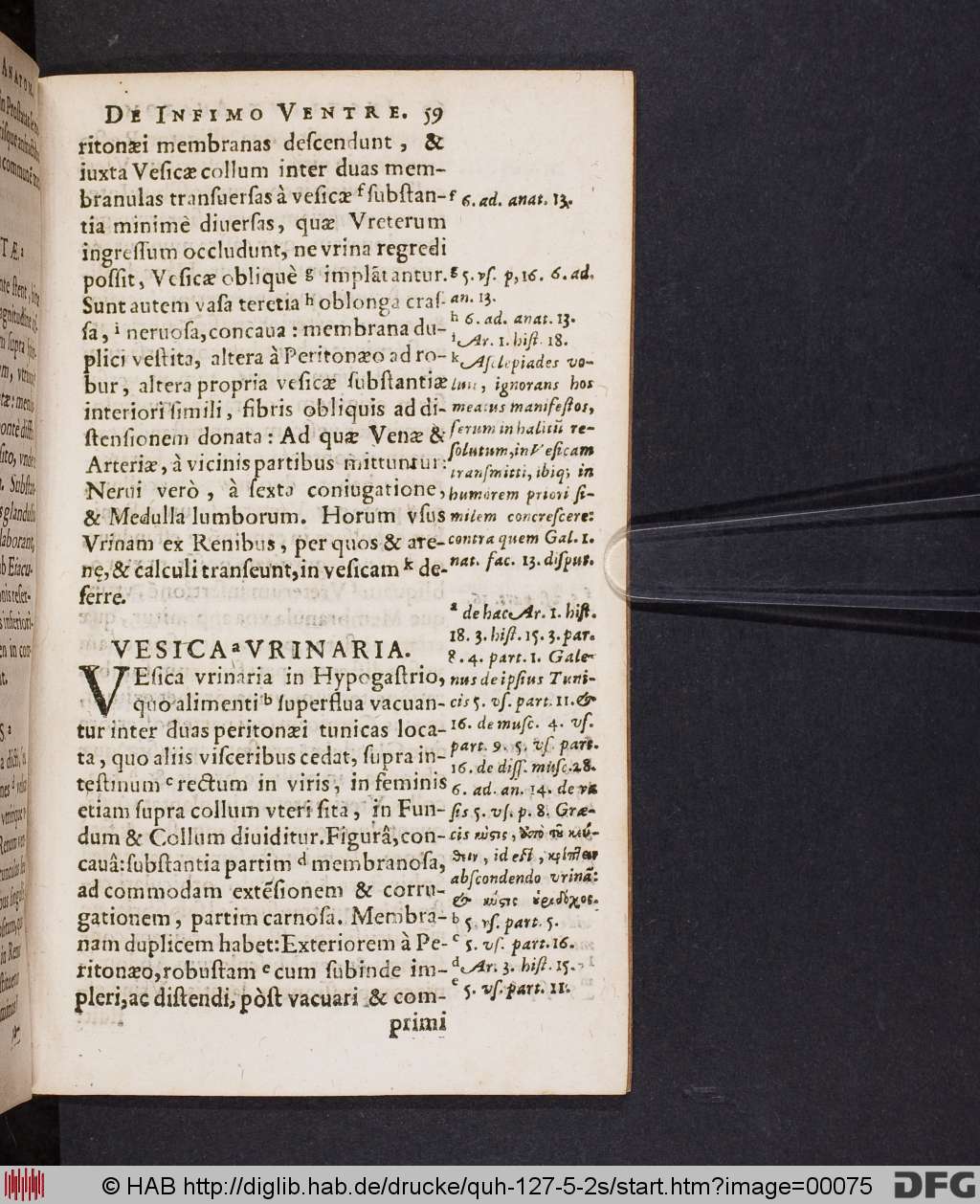 http://diglib.hab.de/drucke/quh-127-5-2s/00075.jpg