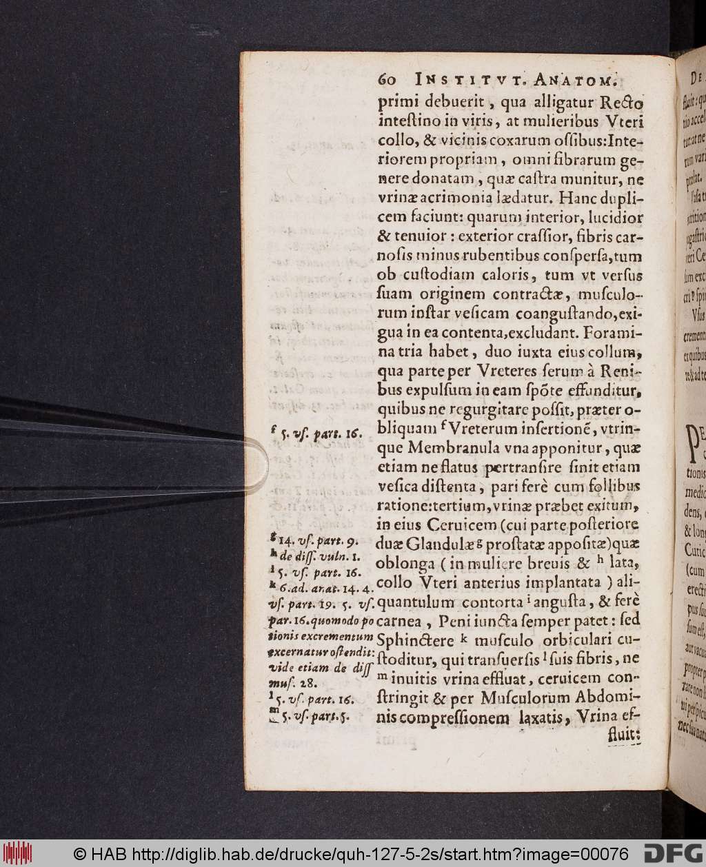 http://diglib.hab.de/drucke/quh-127-5-2s/00076.jpg