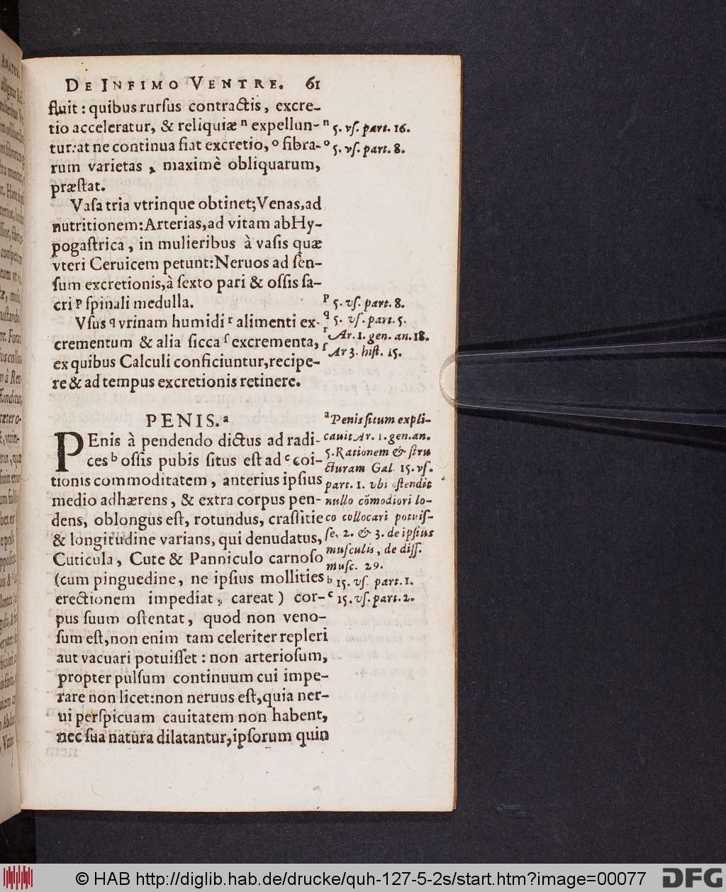 http://diglib.hab.de/drucke/quh-127-5-2s/00077.jpg