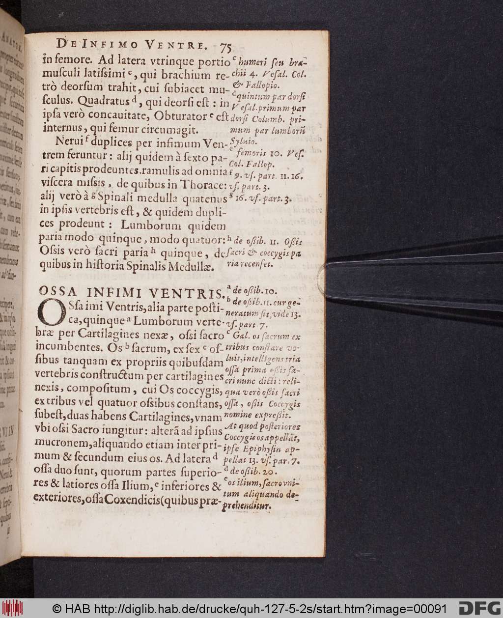 http://diglib.hab.de/drucke/quh-127-5-2s/00091.jpg