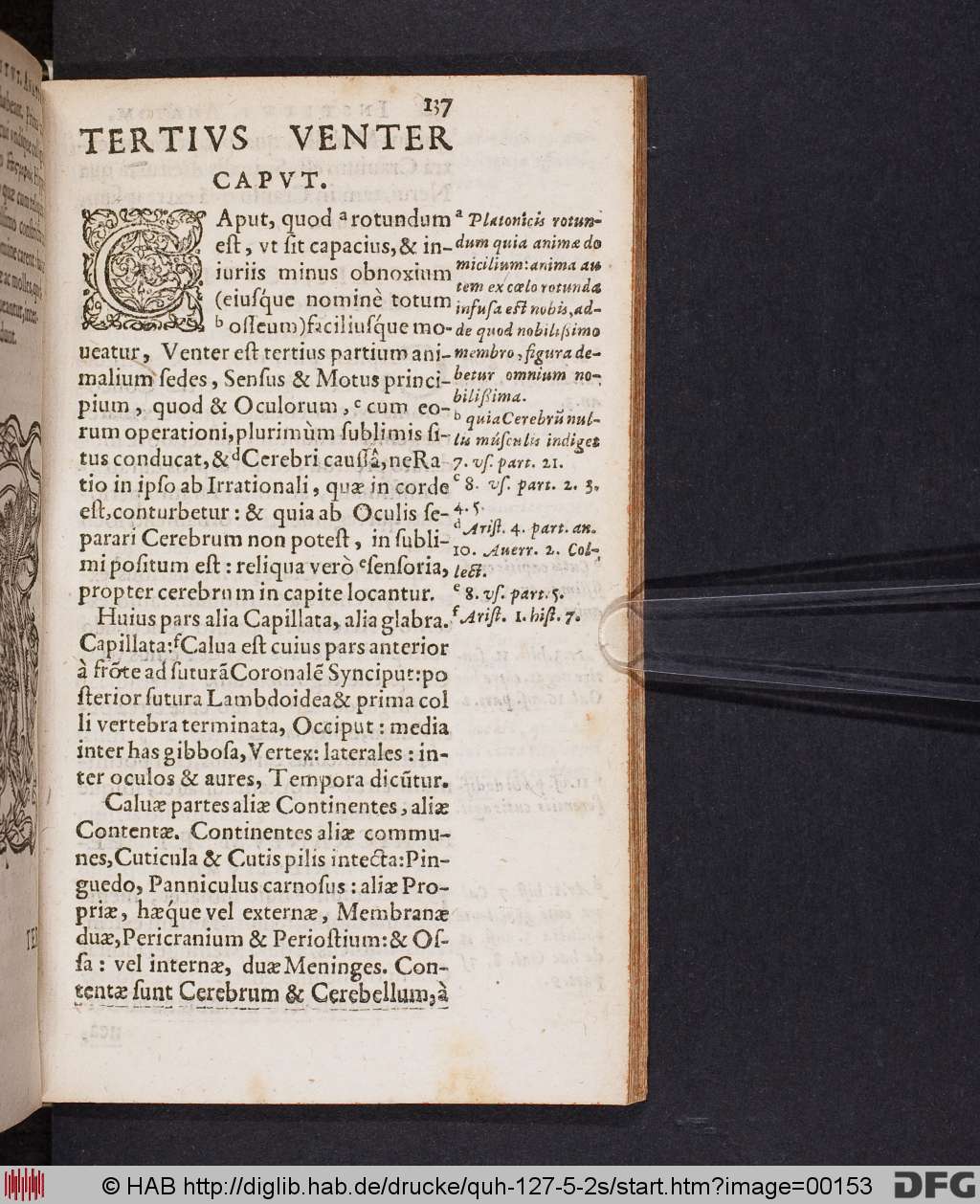 http://diglib.hab.de/drucke/quh-127-5-2s/00153.jpg