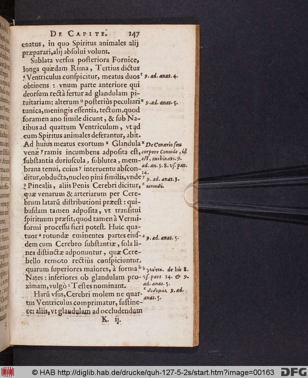 http://diglib.hab.de/drucke/quh-127-5-2s/00163.jpg