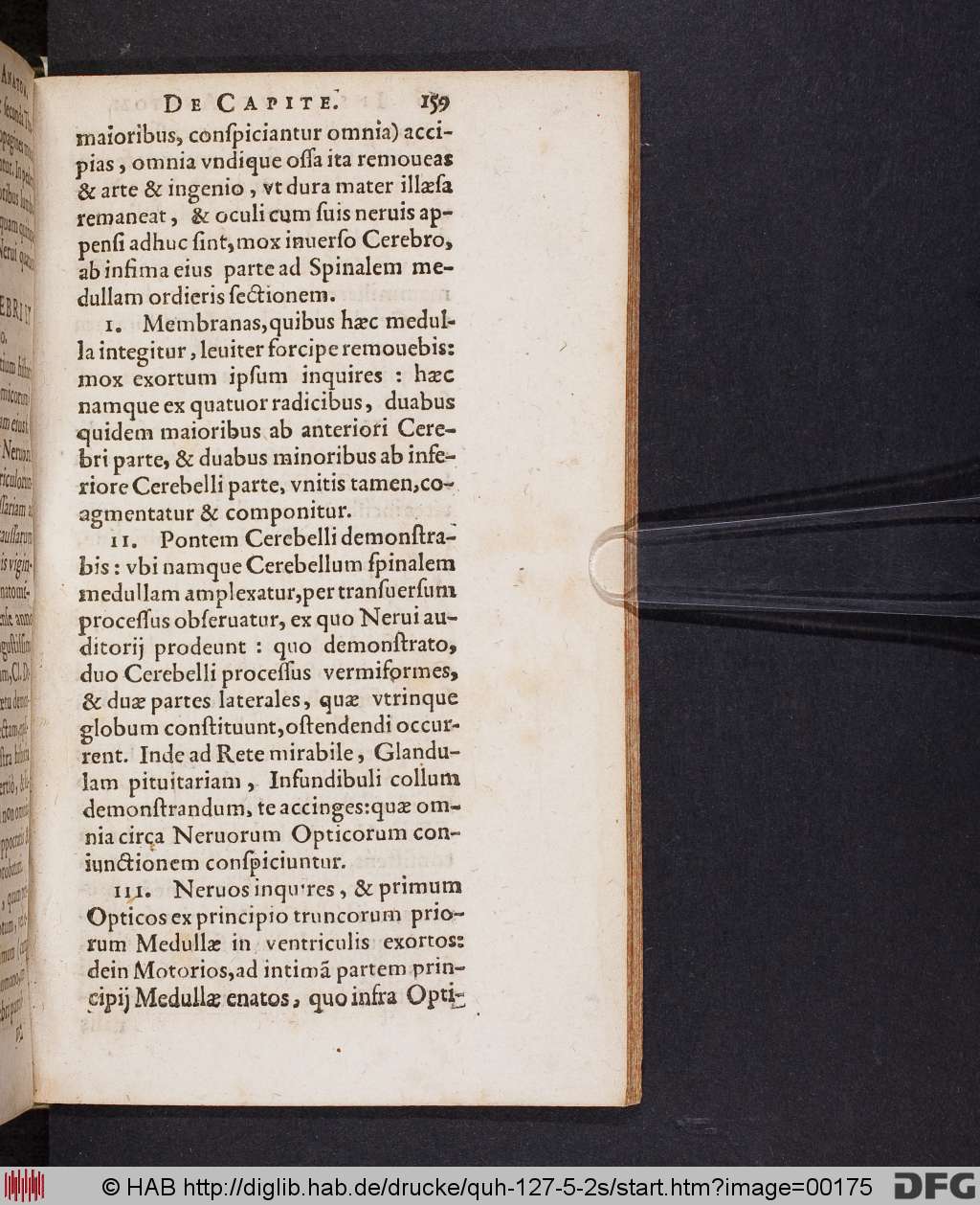 http://diglib.hab.de/drucke/quh-127-5-2s/00175.jpg