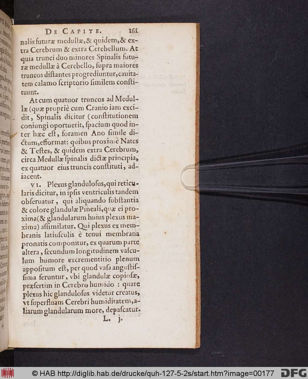 http://diglib.hab.de/drucke/quh-127-5-2s/00177.jpg