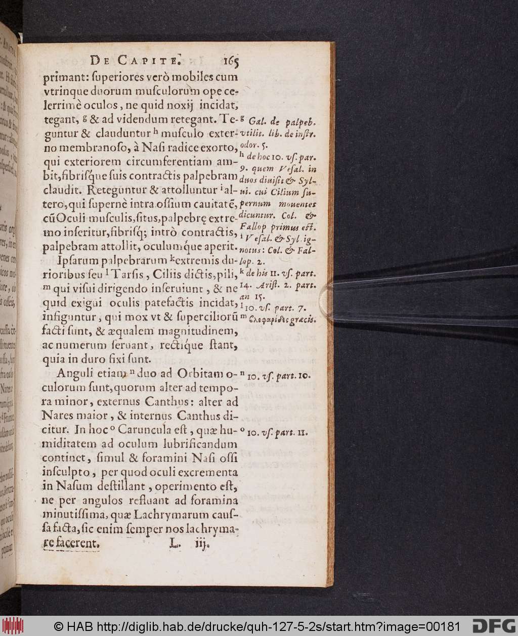 http://diglib.hab.de/drucke/quh-127-5-2s/00181.jpg