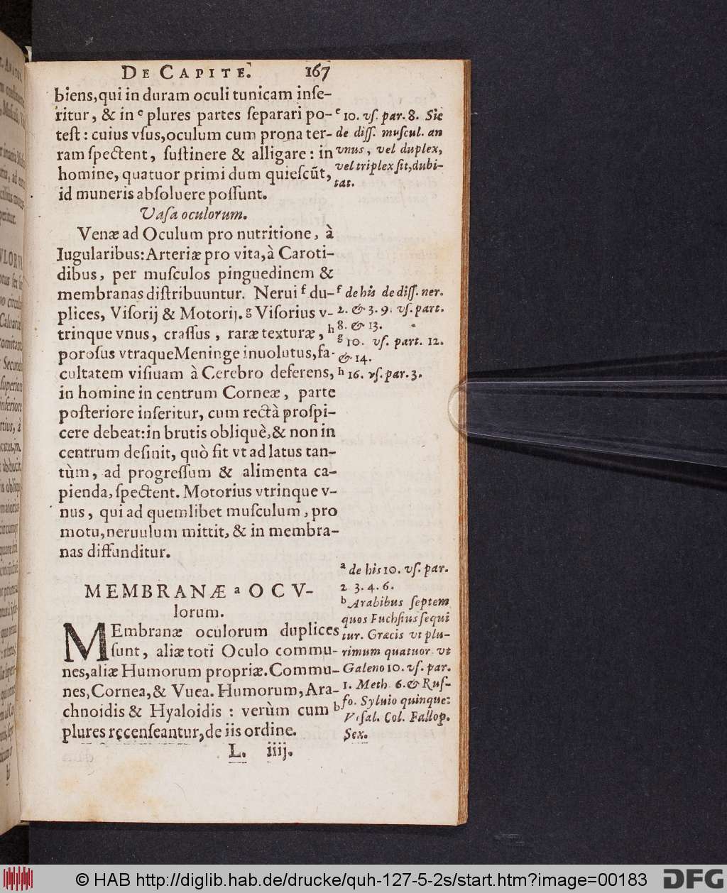 http://diglib.hab.de/drucke/quh-127-5-2s/00183.jpg