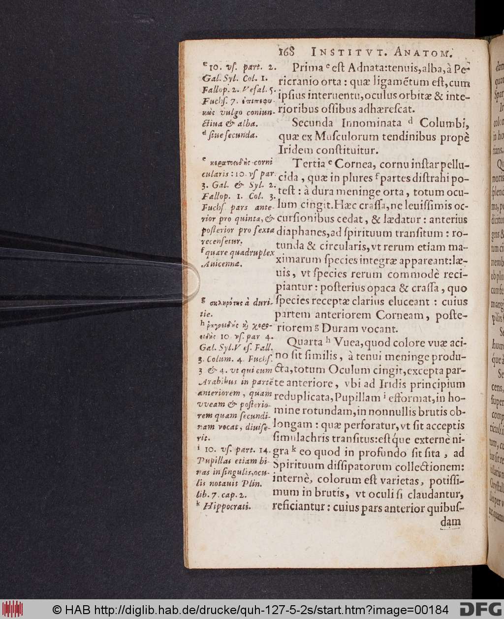http://diglib.hab.de/drucke/quh-127-5-2s/00184.jpg