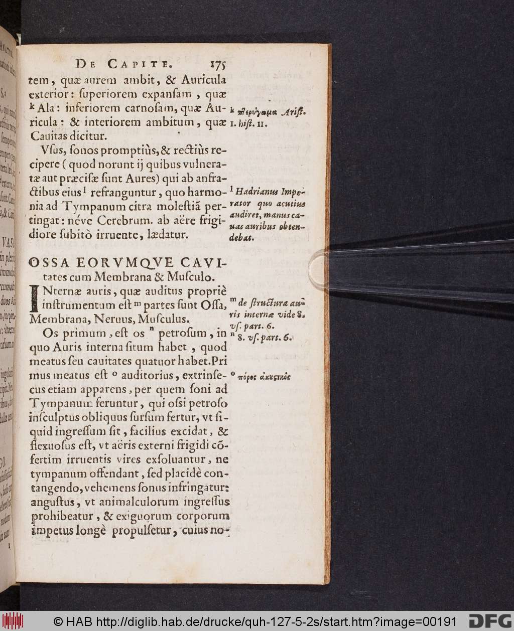 http://diglib.hab.de/drucke/quh-127-5-2s/00191.jpg