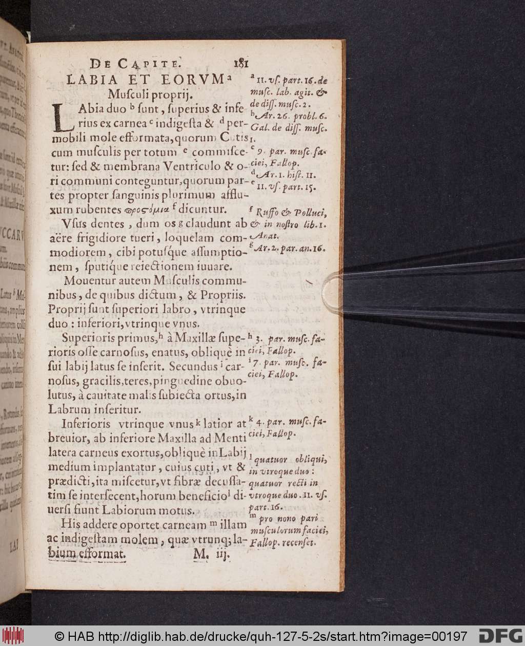 http://diglib.hab.de/drucke/quh-127-5-2s/00197.jpg