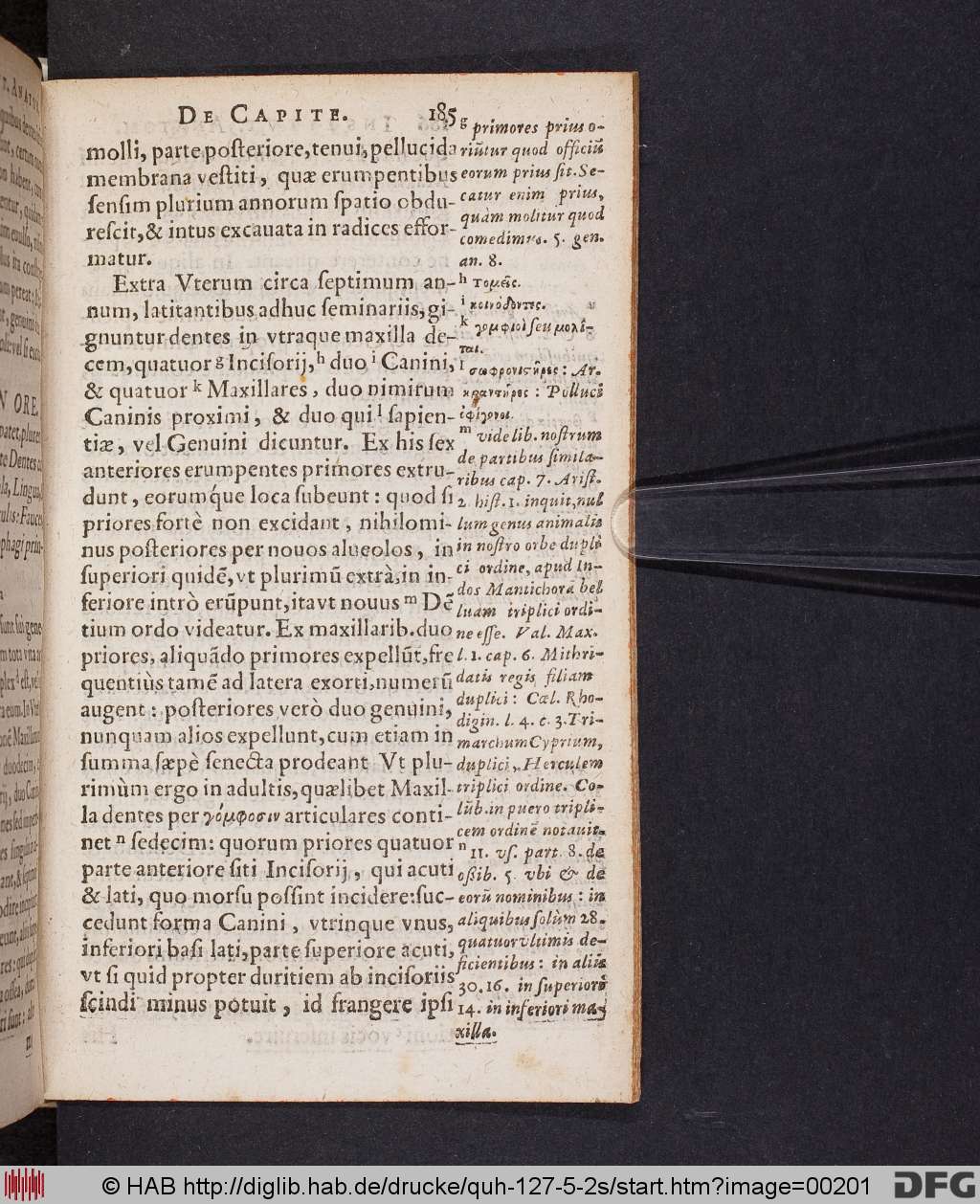 http://diglib.hab.de/drucke/quh-127-5-2s/00201.jpg