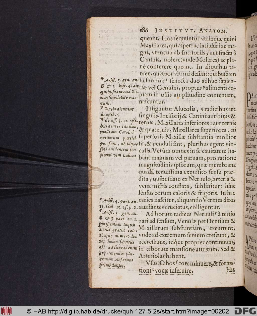 http://diglib.hab.de/drucke/quh-127-5-2s/00202.jpg