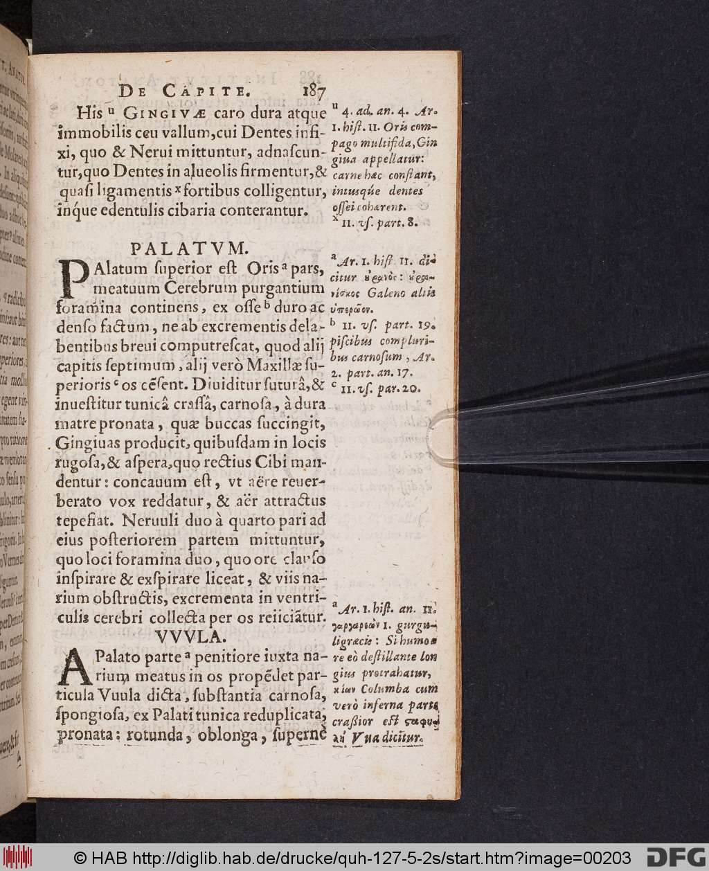 http://diglib.hab.de/drucke/quh-127-5-2s/00203.jpg