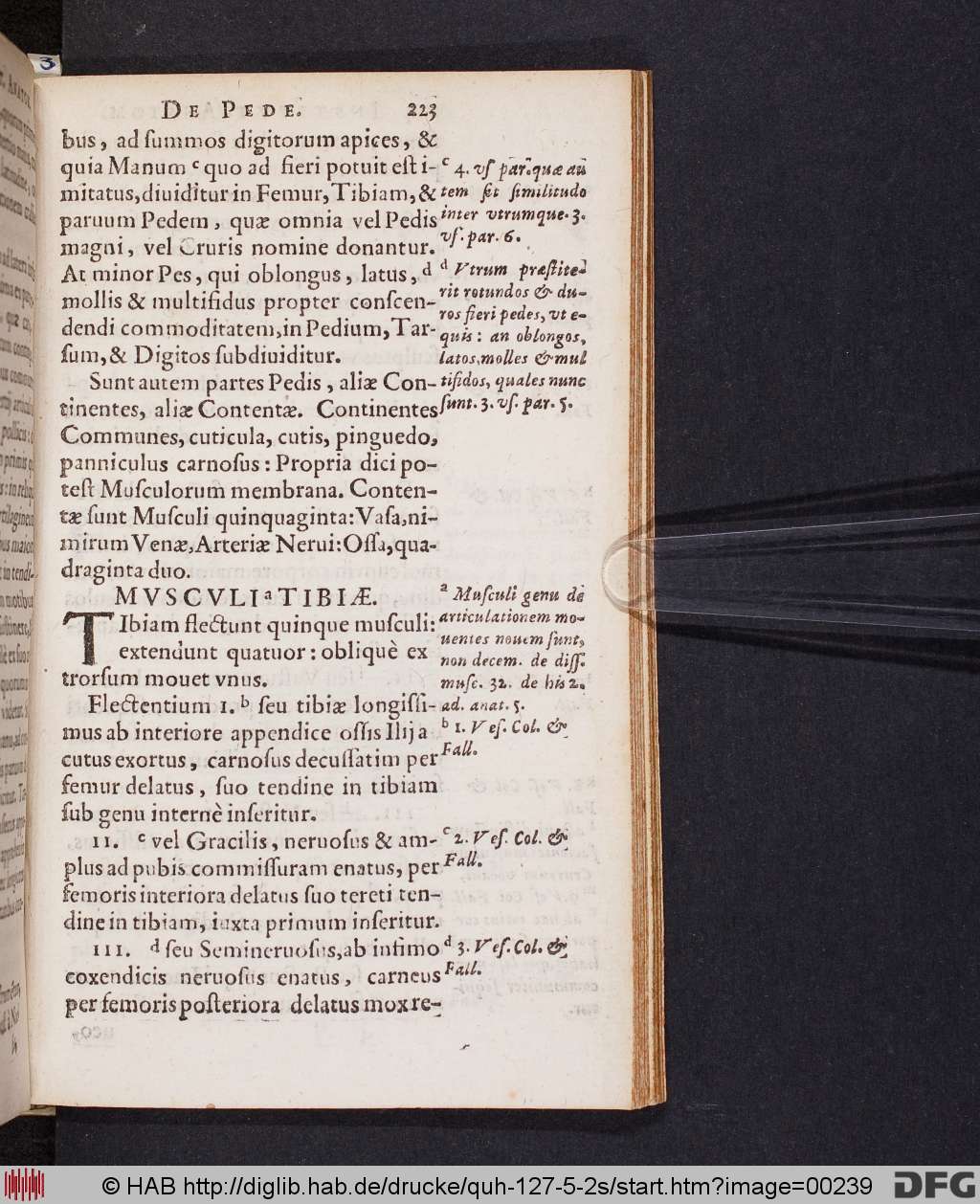 http://diglib.hab.de/drucke/quh-127-5-2s/00239.jpg