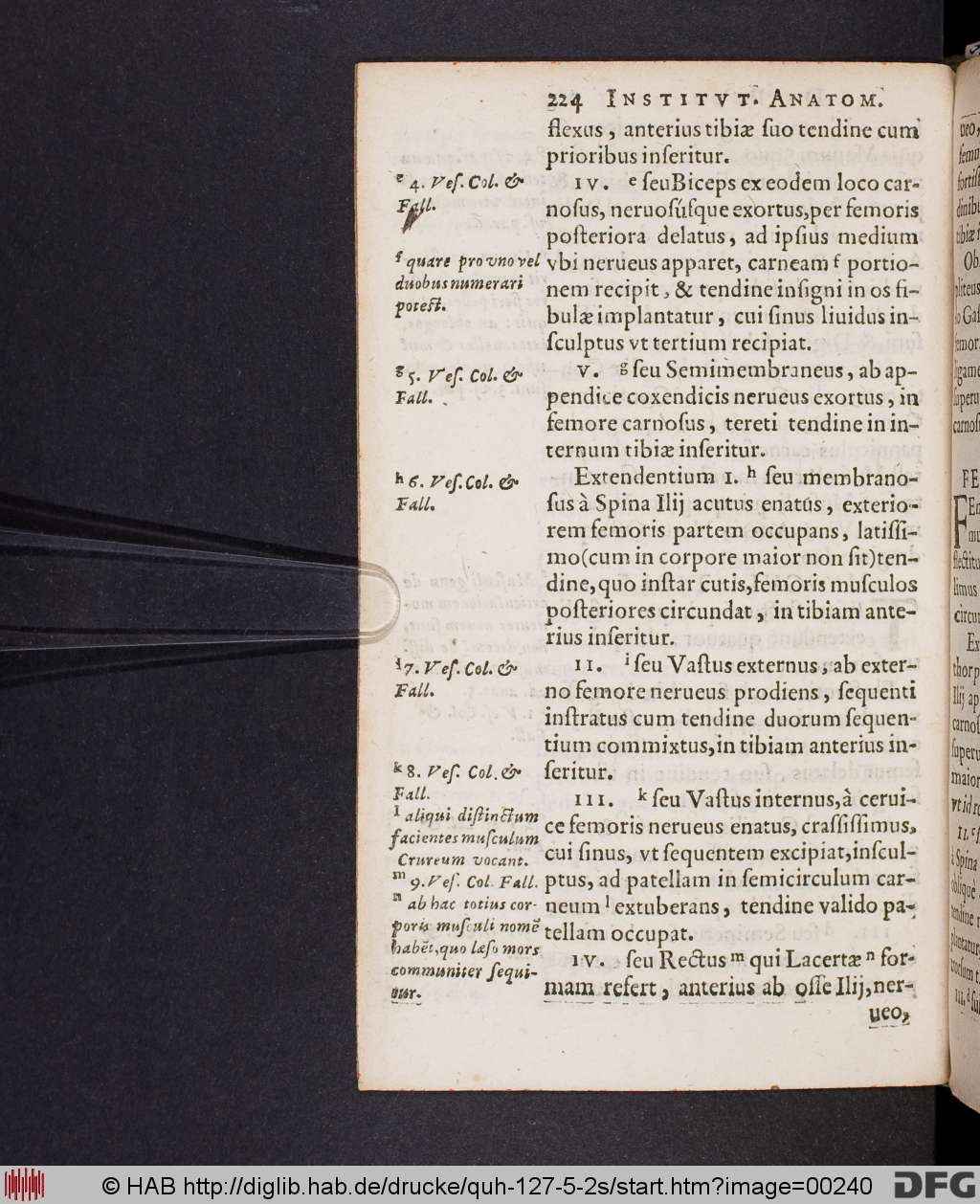 http://diglib.hab.de/drucke/quh-127-5-2s/00240.jpg