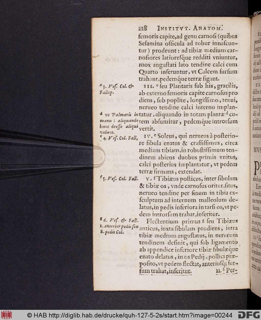 http://diglib.hab.de/drucke/quh-127-5-2s/00244.jpg