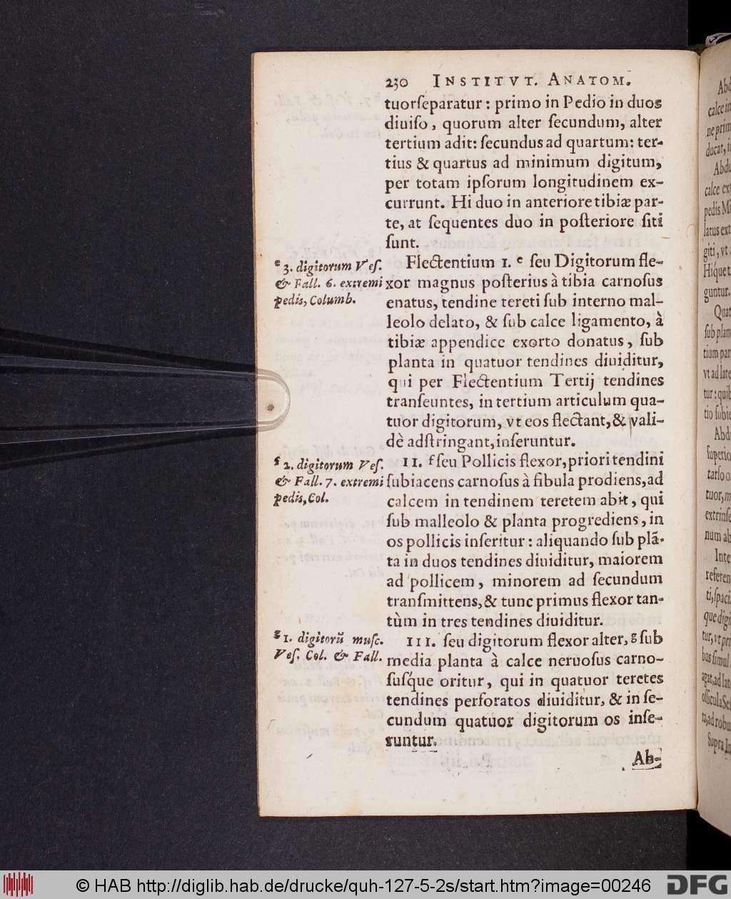 http://diglib.hab.de/drucke/quh-127-5-2s/00246.jpg
