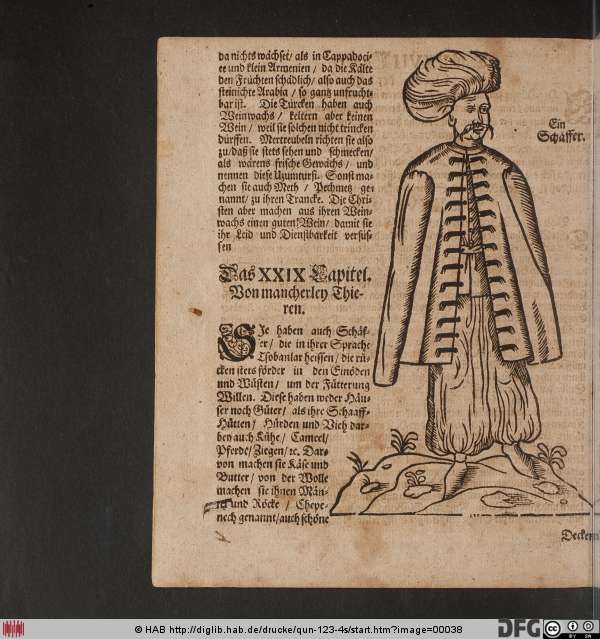 http://diglib.hab.de/drucke/qun-123-4s/min/00038.jpg