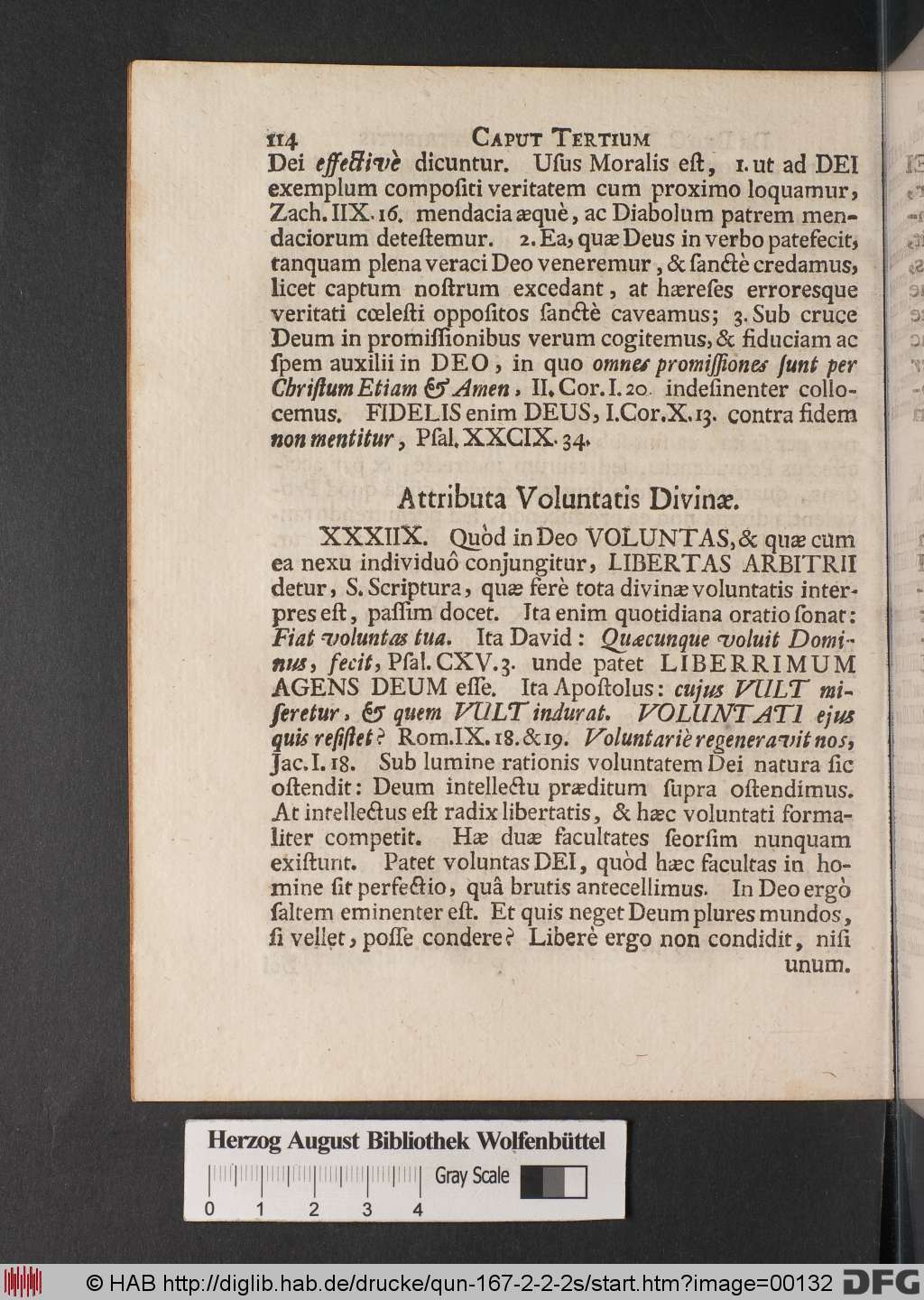 http://diglib.hab.de/drucke/qun-167-2-2-2s/00132.jpg