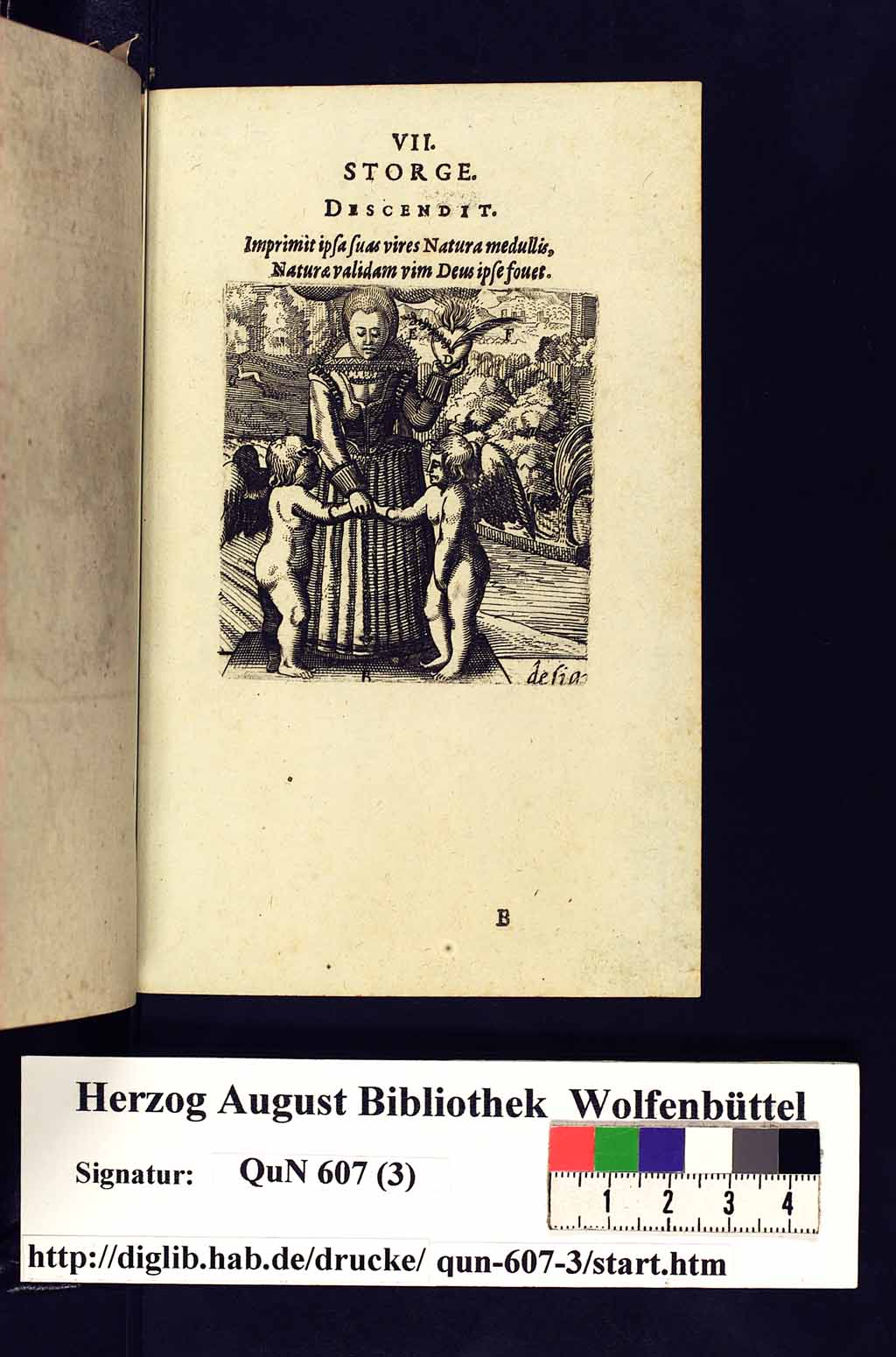 http://diglib.hab.de/drucke/qun-607-3/00017.jpg