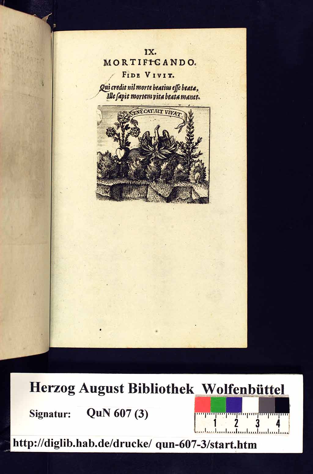 http://diglib.hab.de/drucke/qun-607-3/00021.jpg