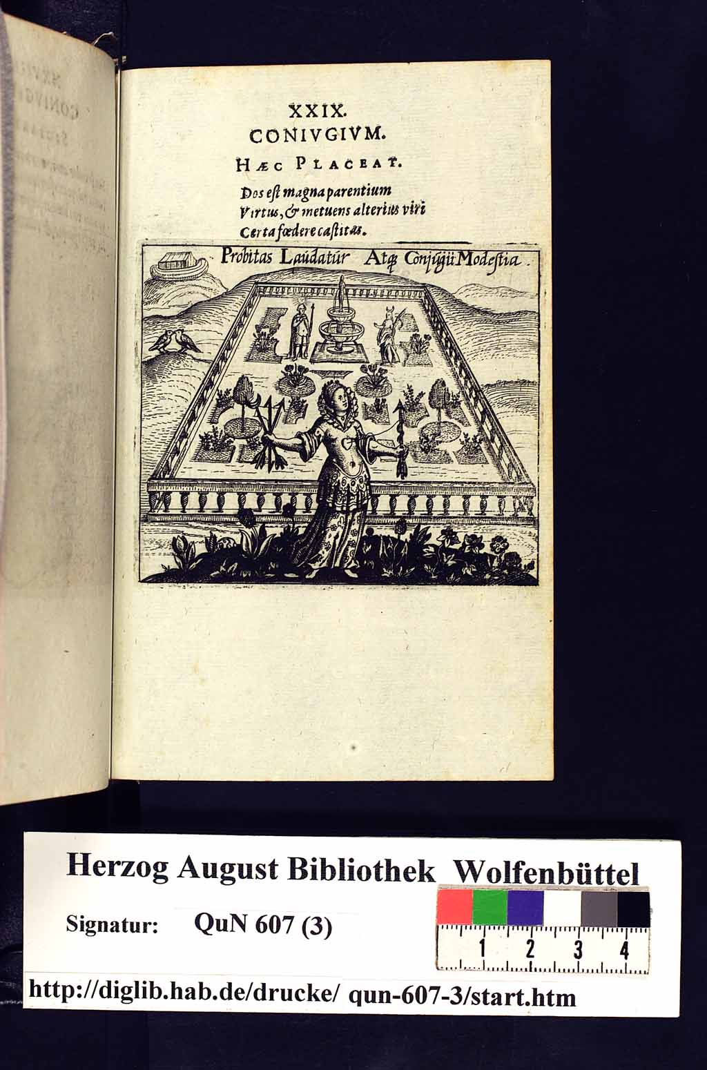 http://diglib.hab.de/drucke/qun-607-3/00061.jpg