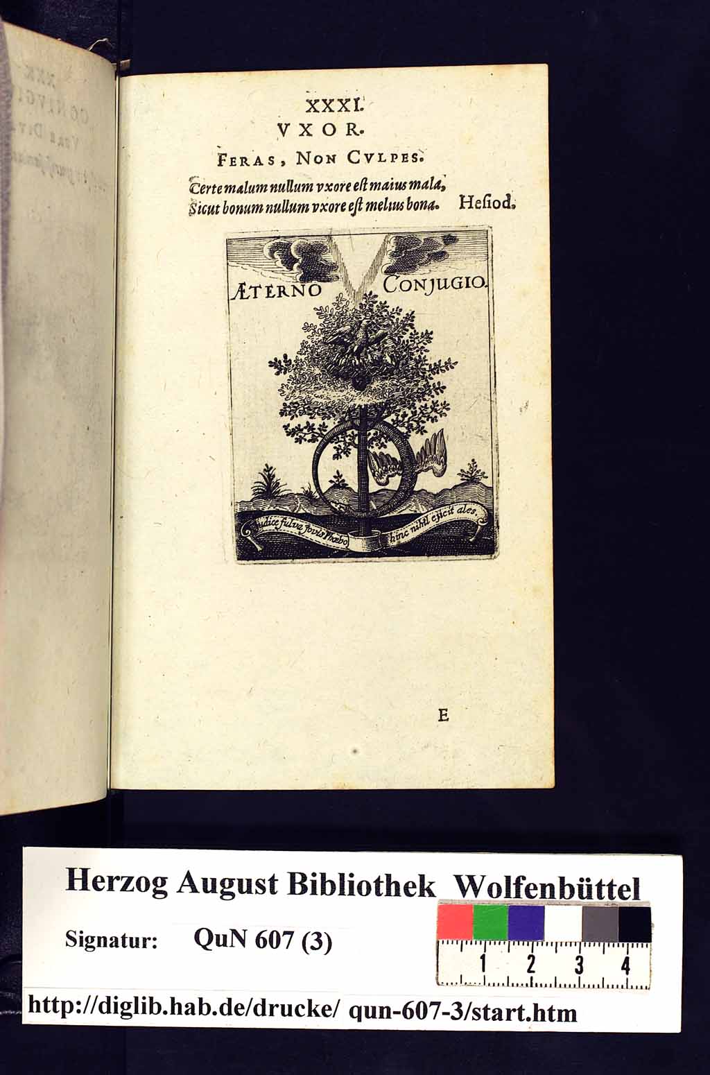 http://diglib.hab.de/drucke/qun-607-3/00065.jpg