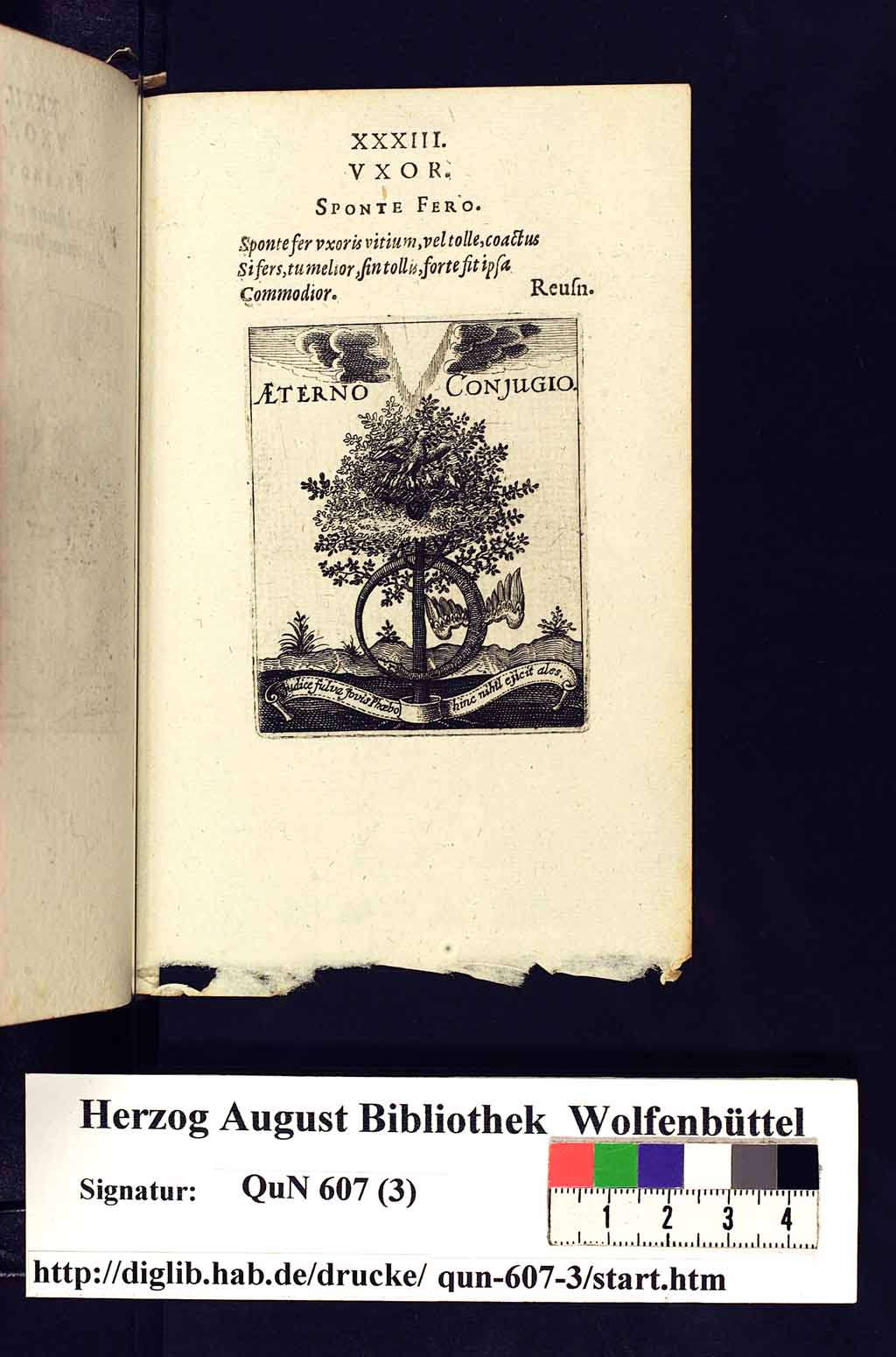 http://diglib.hab.de/drucke/qun-607-3/00069.jpg