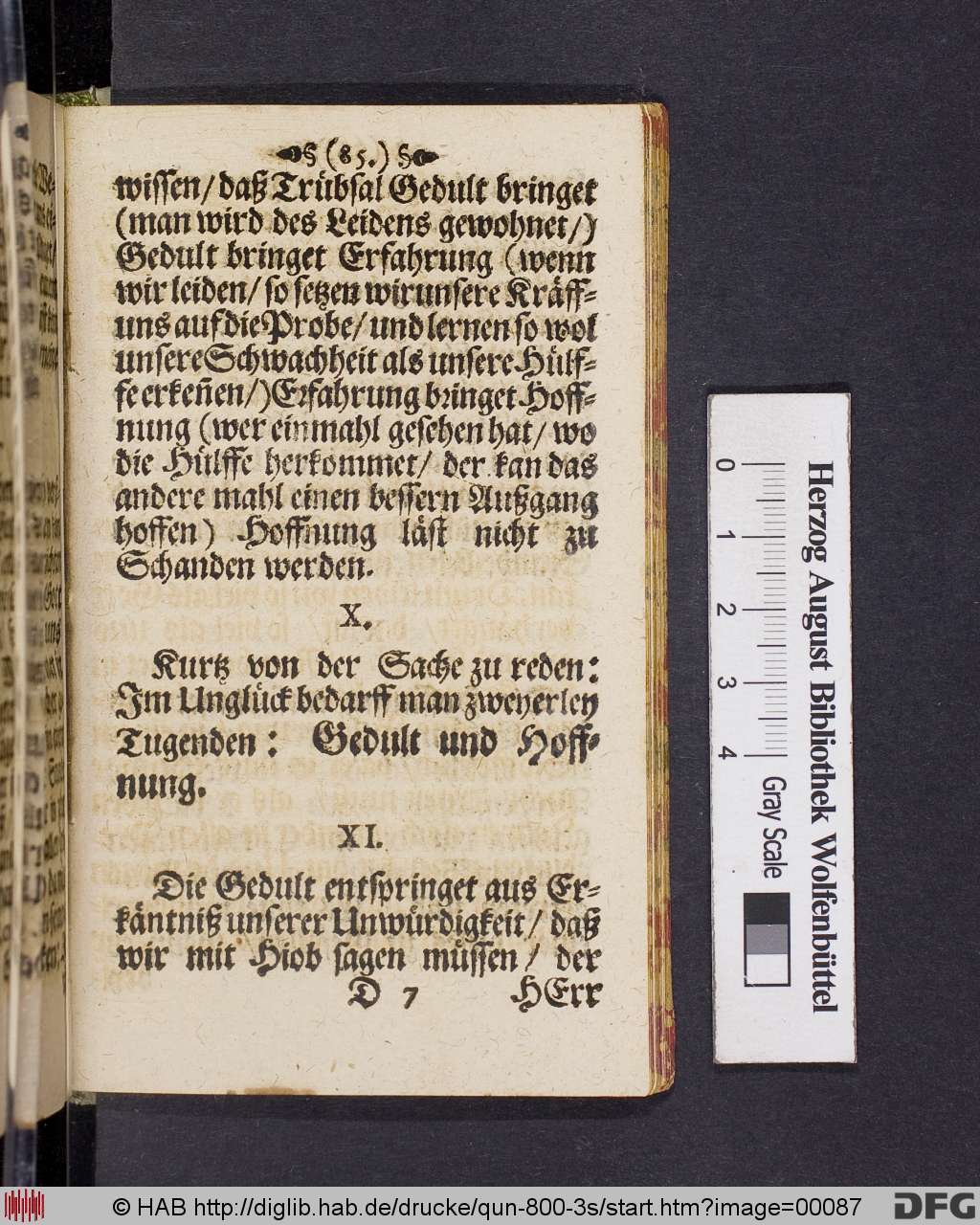 http://diglib.hab.de/drucke/qun-800-3s/00087.jpg