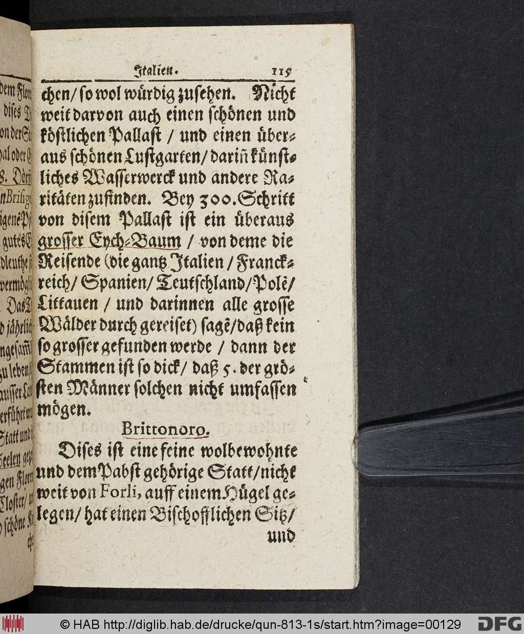http://diglib.hab.de/drucke/qun-813-1s/00129.jpg