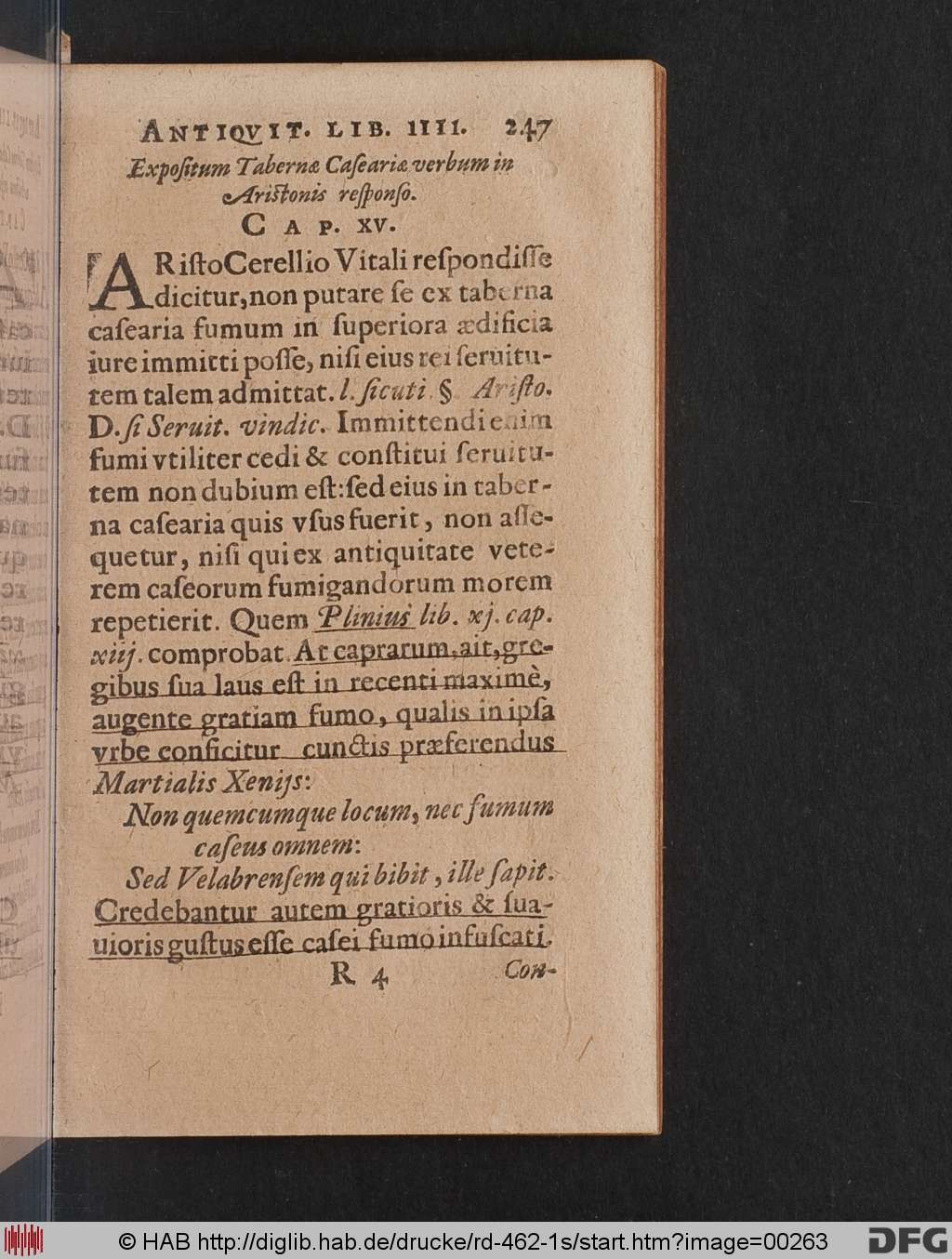 http://diglib.hab.de/drucke/rd-462-1s/00263.jpg