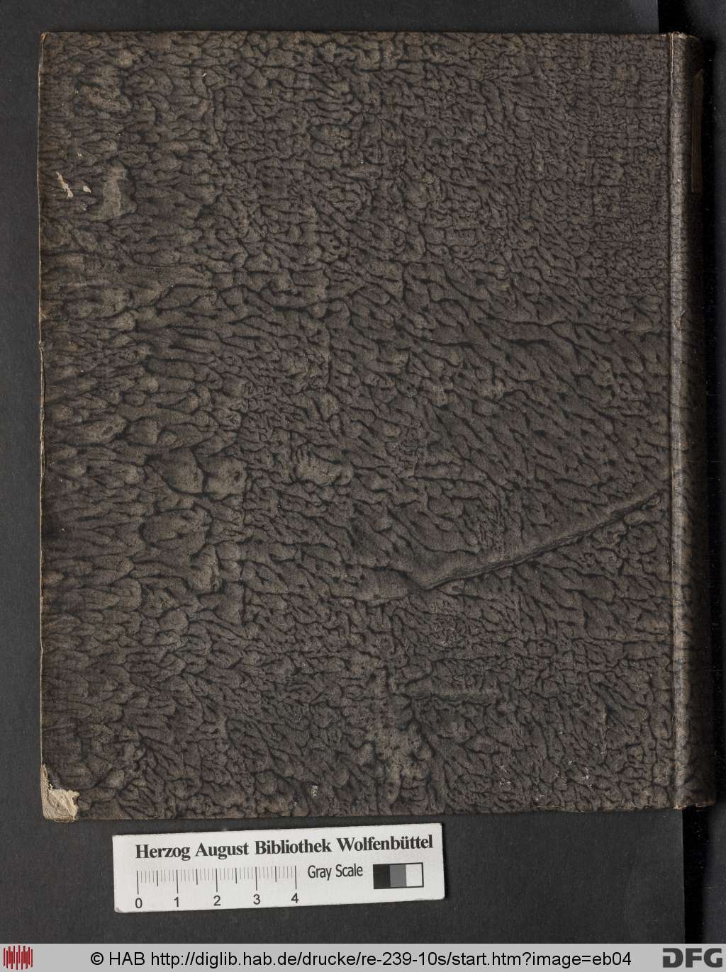 http://diglib.hab.de/drucke/re-239-10s/eb04.jpg