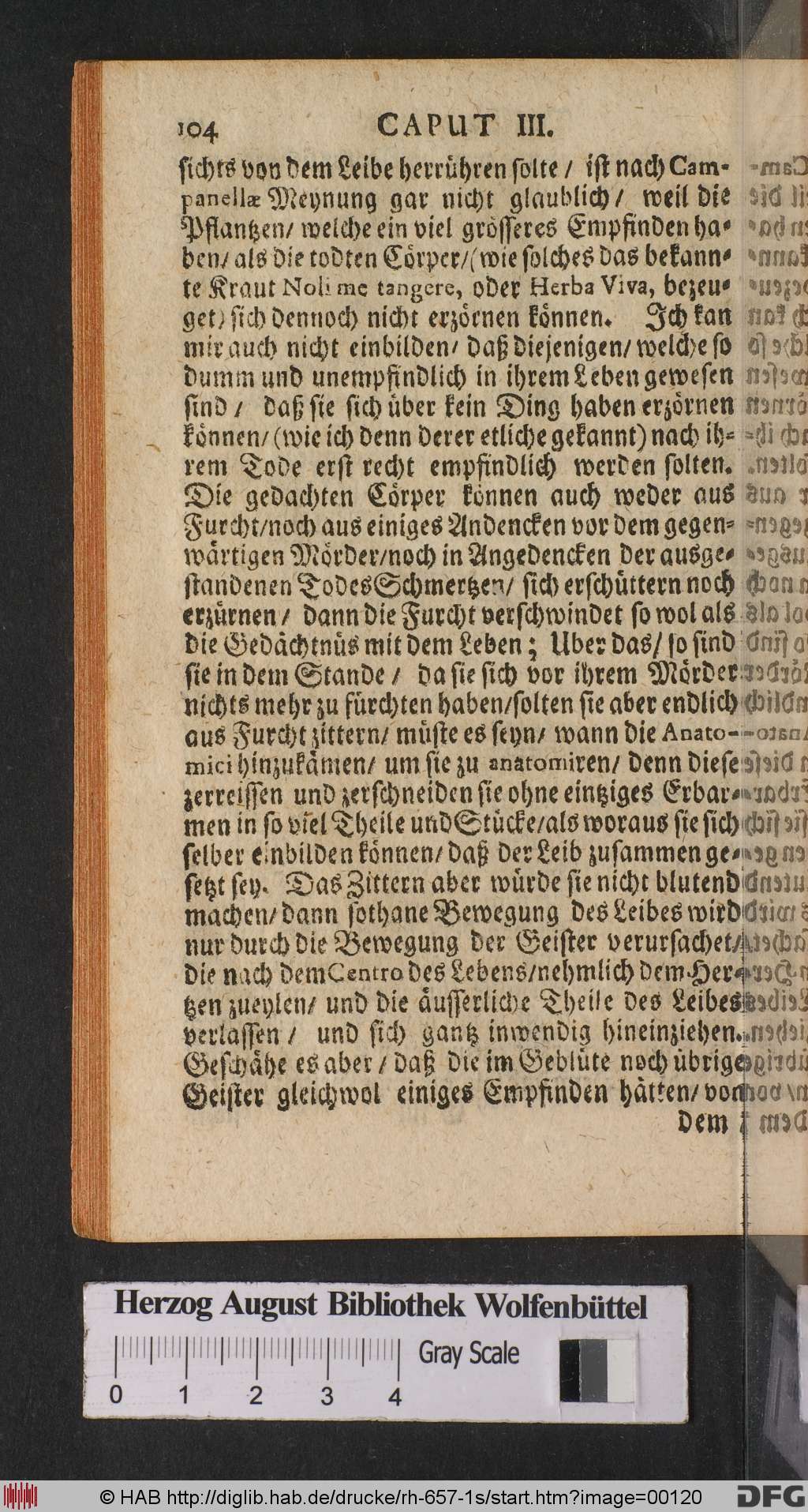 http://diglib.hab.de/drucke/rh-657-1s/00120.jpg