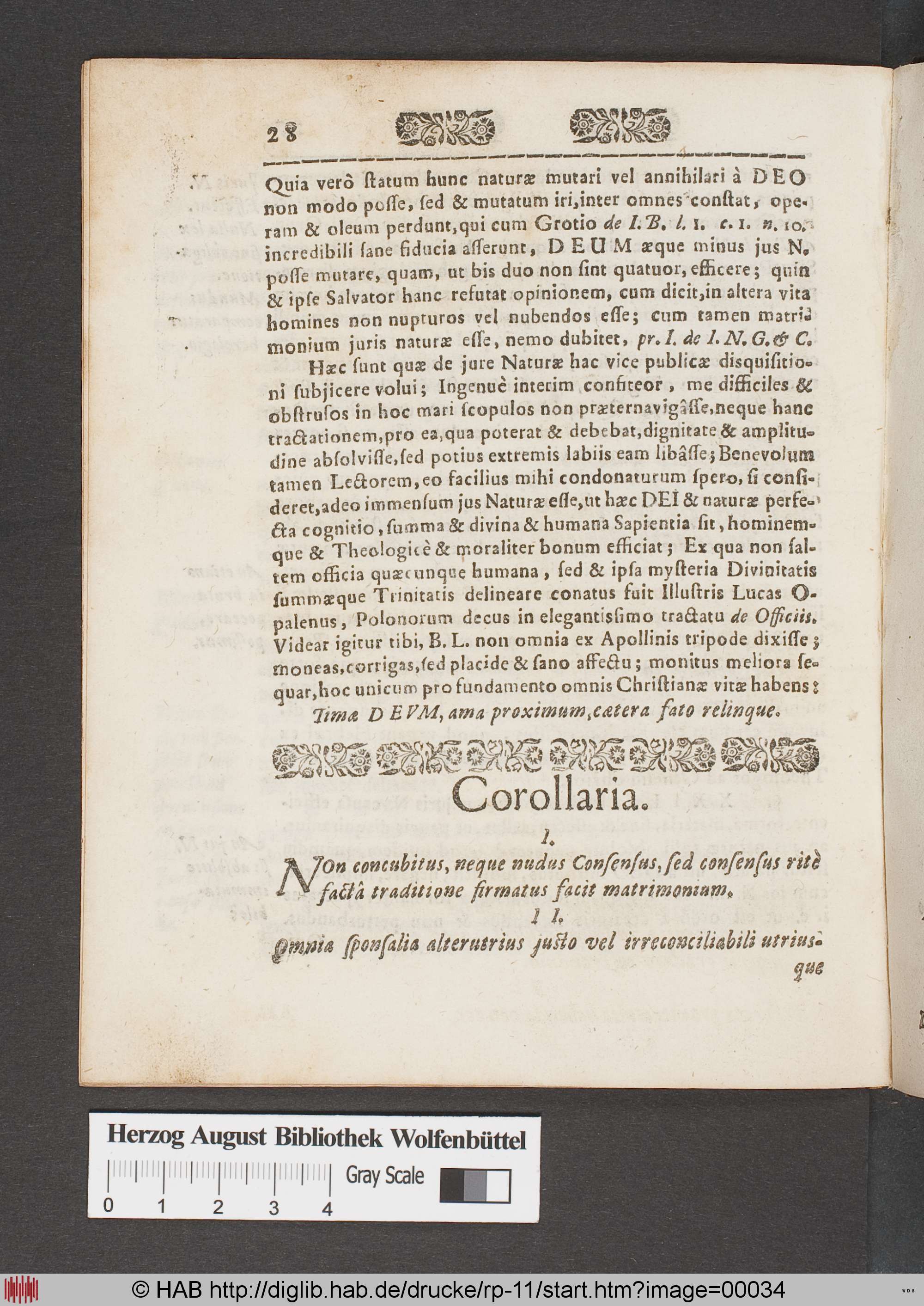 http://diglib.hab.de/drucke/rp-11/max/00034.jpg