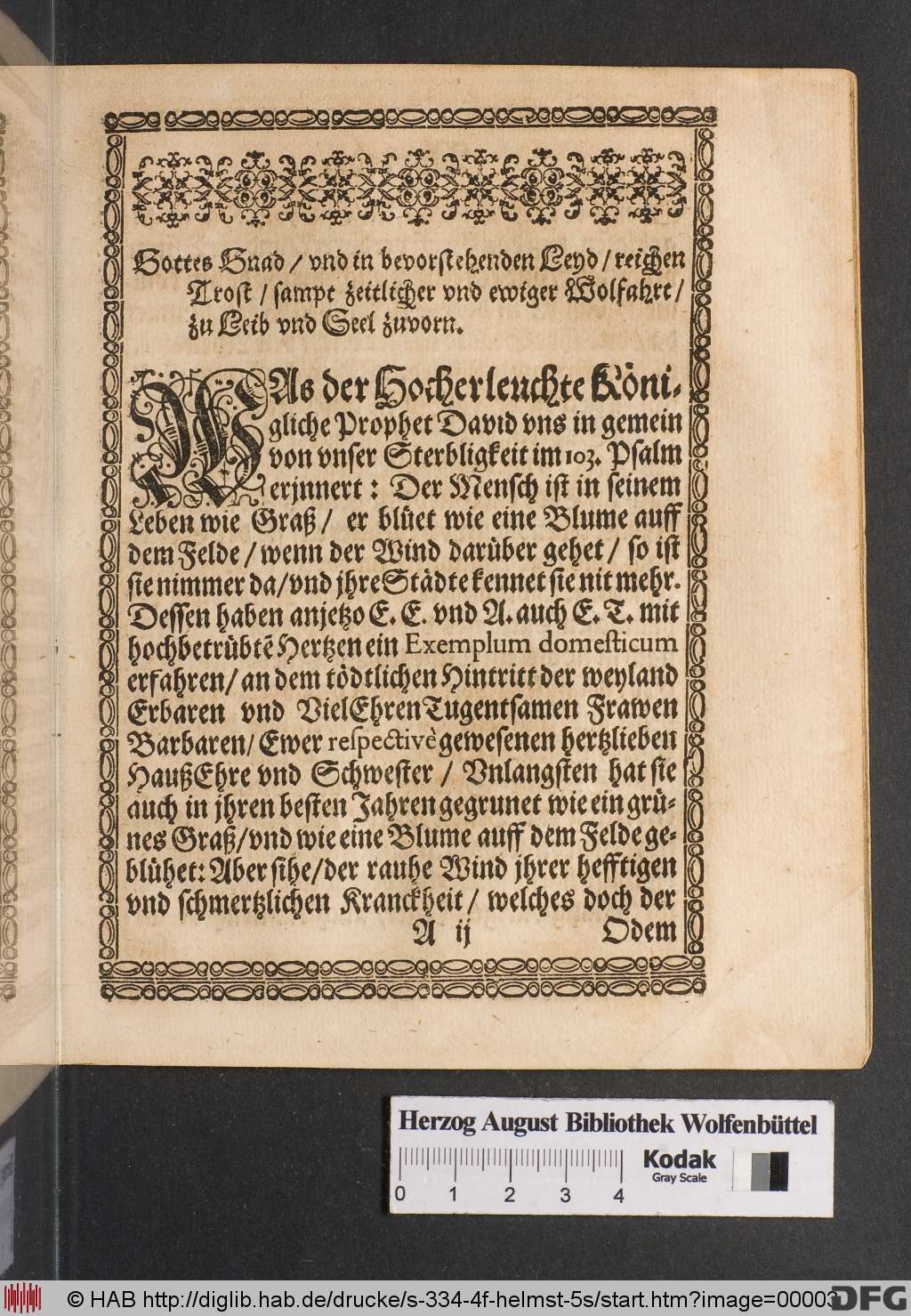 http://diglib.hab.de/drucke/s-334-4f-helmst-5s/00003.jpg