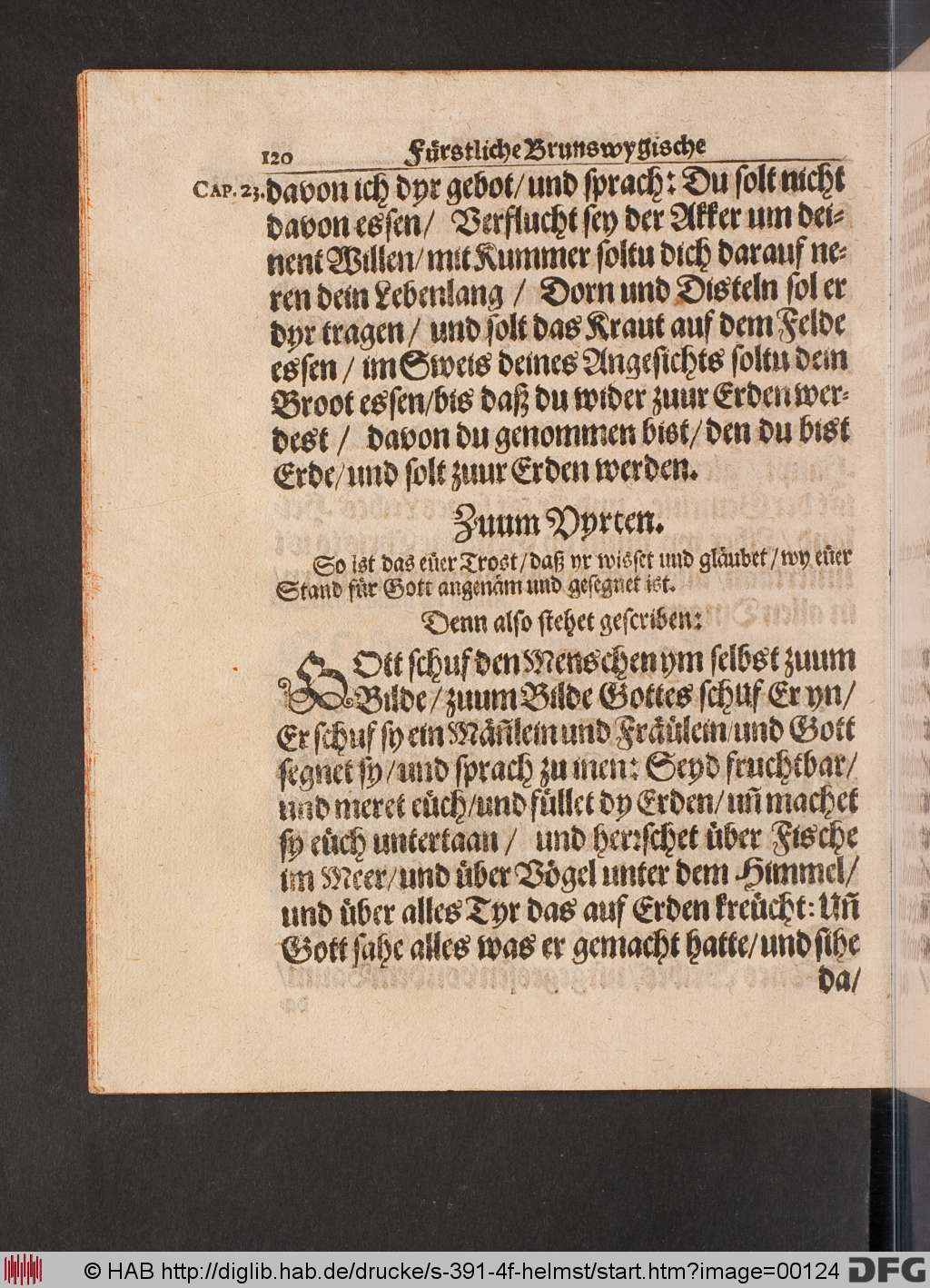 http://diglib.hab.de/drucke/s-391-4f-helmst/00124.jpg