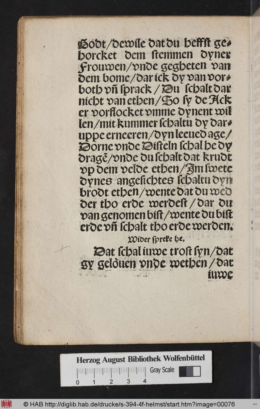 http://diglib.hab.de/drucke/s-394-4f-helmst/00076.jpg