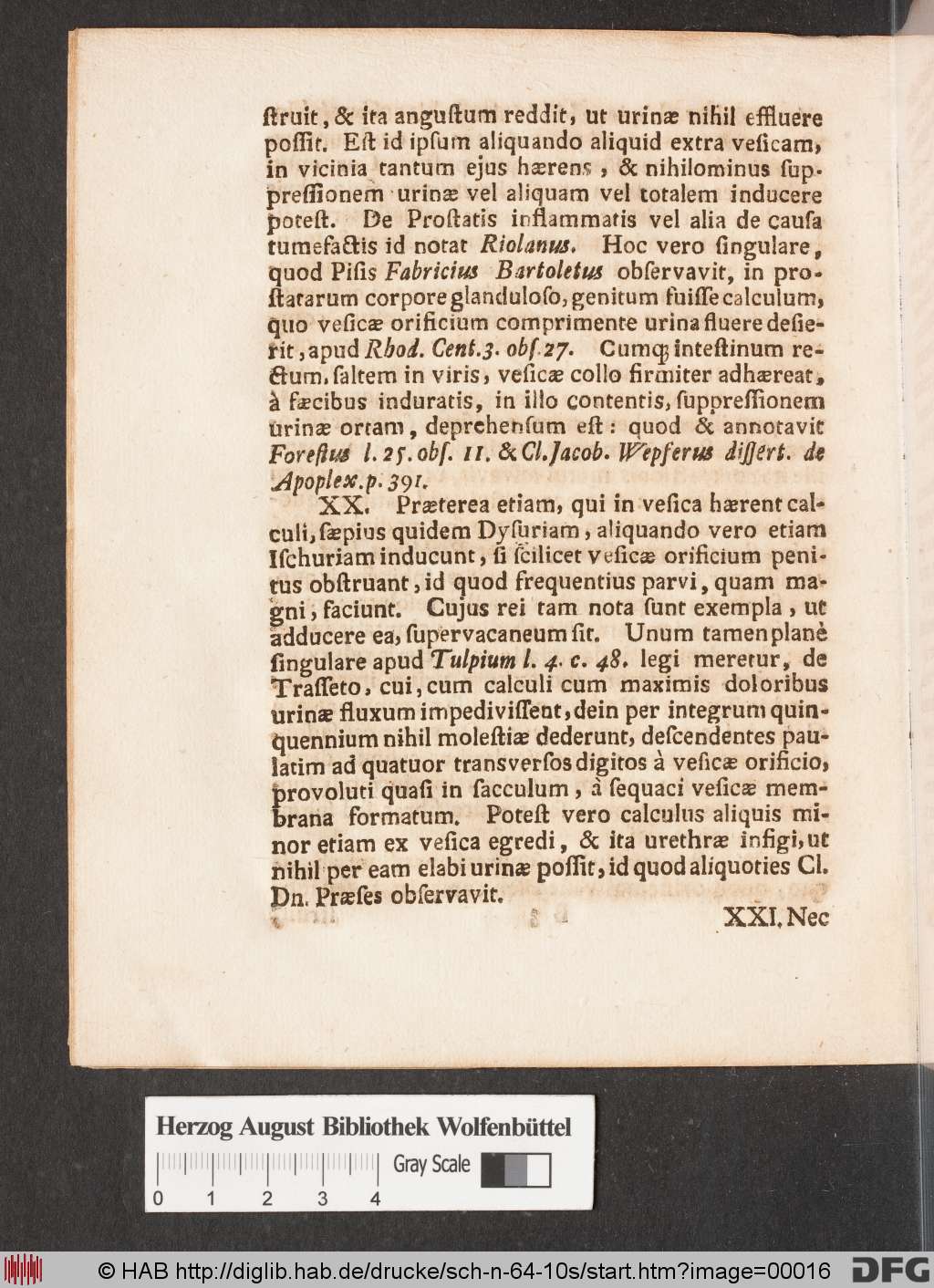 http://diglib.hab.de/drucke/sch-n-64-10s/00016.jpg
