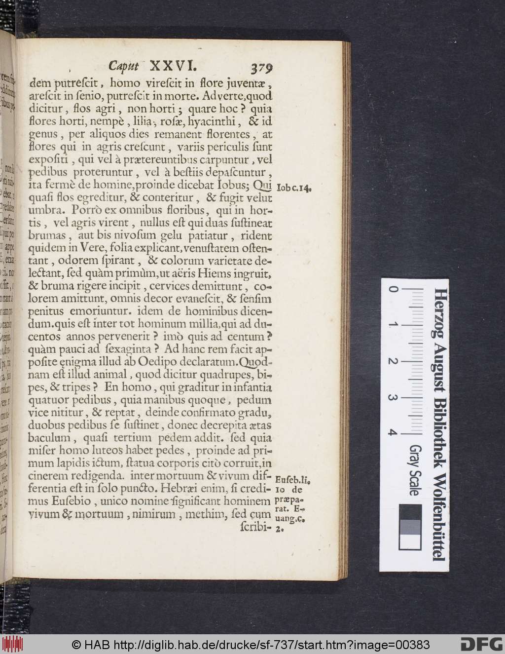 http://diglib.hab.de/drucke/sf-737/00383.jpg