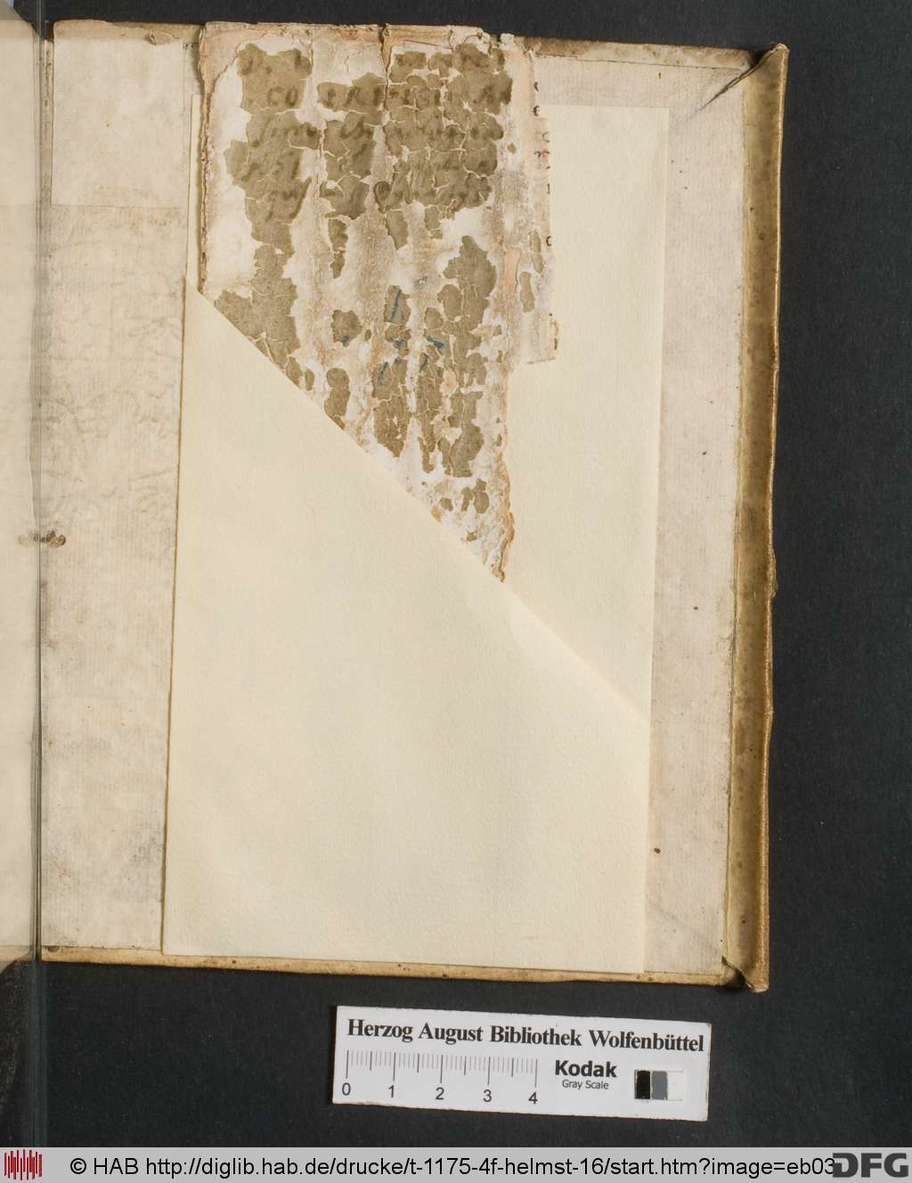 http://diglib.hab.de/drucke/t-1175-4f-helmst-16/eb03.jpg
