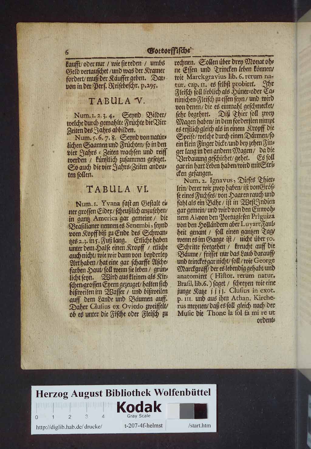 http://diglib.hab.de/drucke/t-207-4f-helmst/00022.jpg