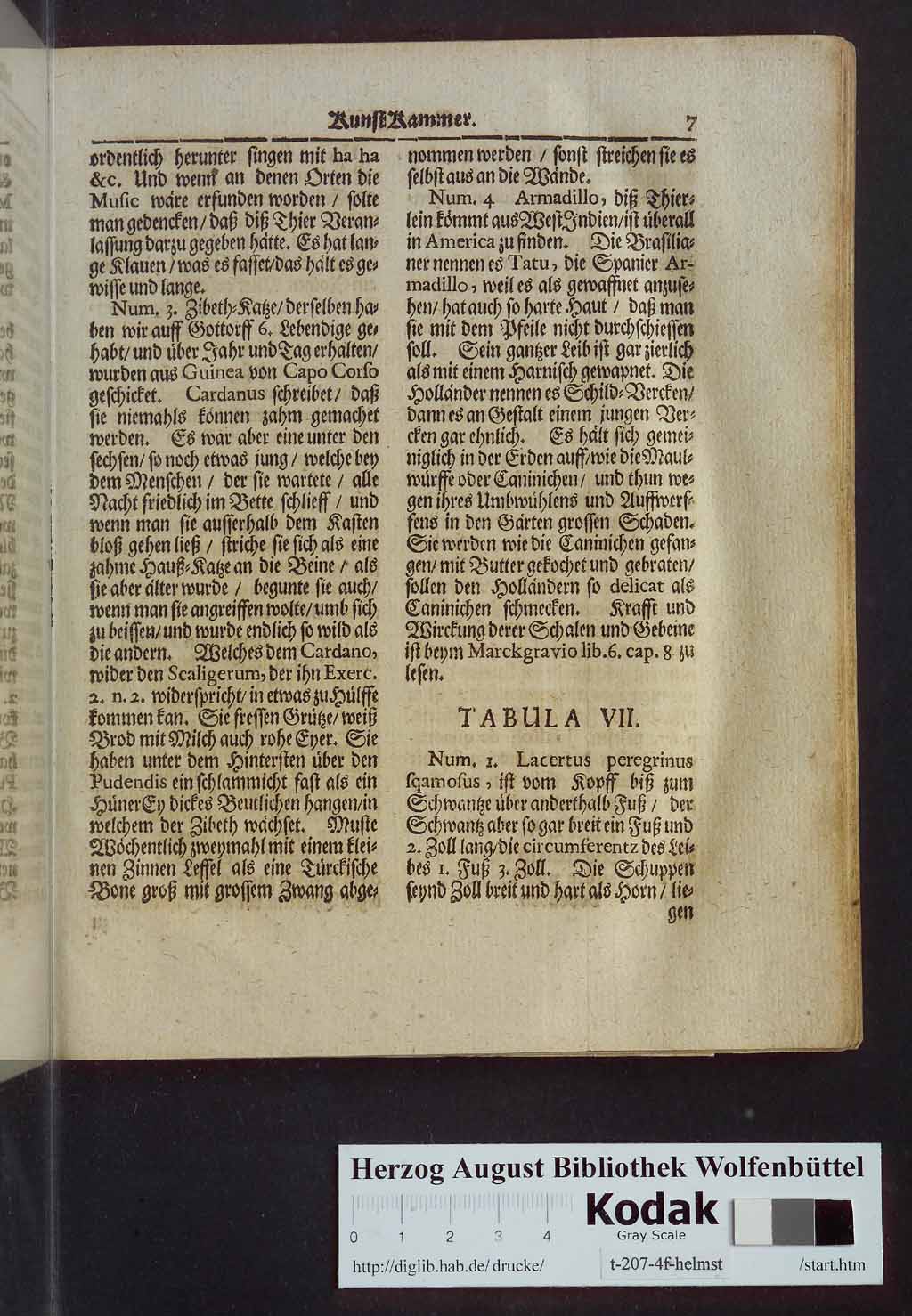 http://diglib.hab.de/drucke/t-207-4f-helmst/00023.jpg