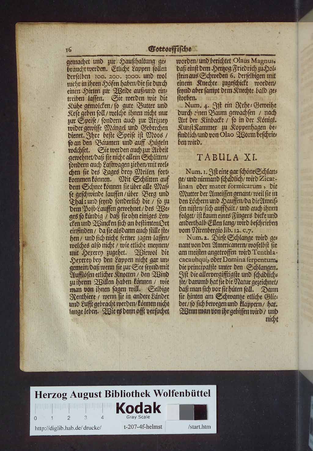 http://diglib.hab.de/drucke/t-207-4f-helmst/00032.jpg