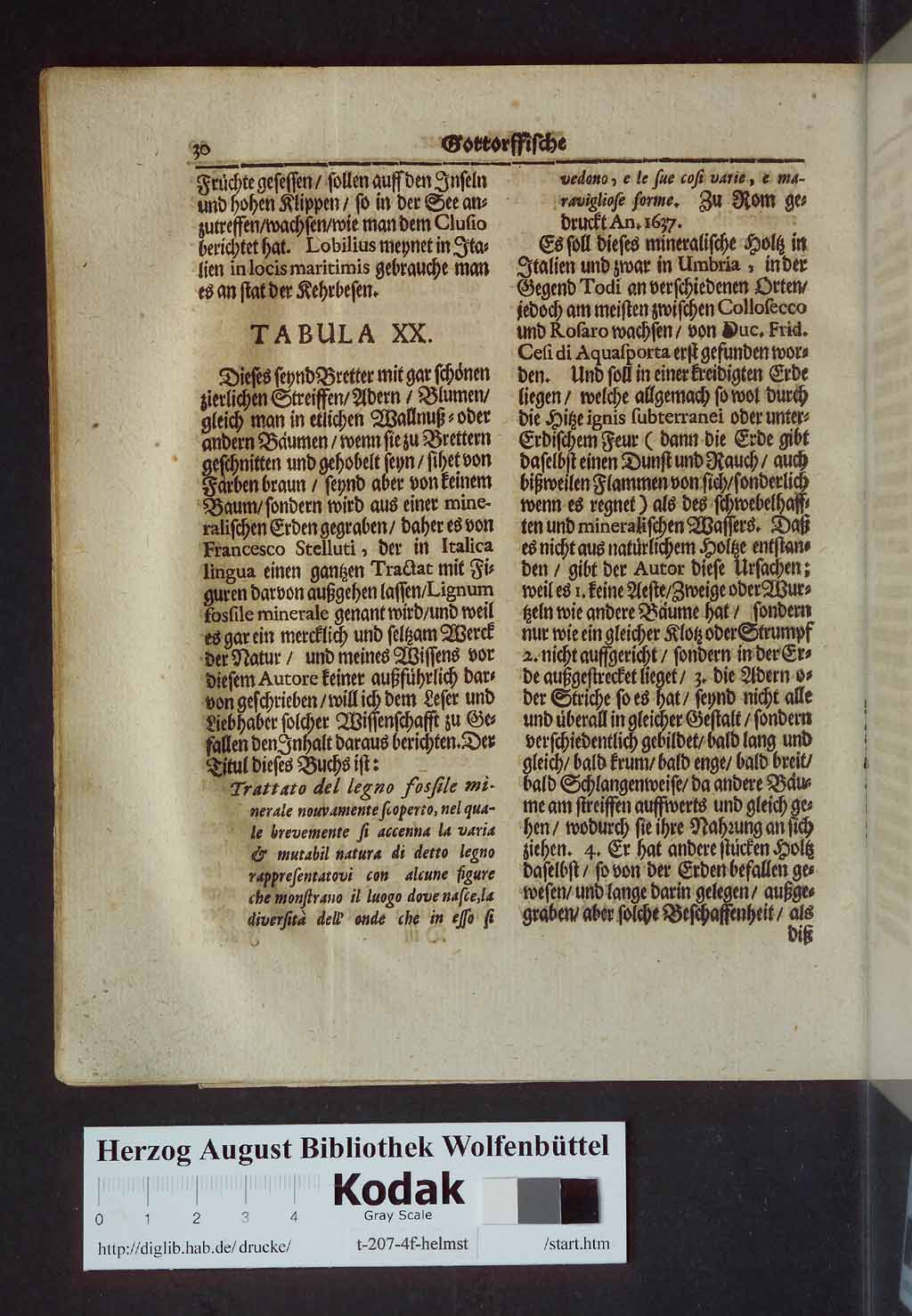 http://diglib.hab.de/drucke/t-207-4f-helmst/00046.jpg