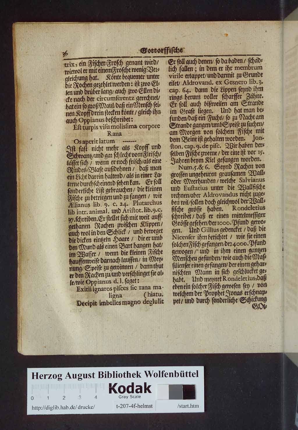 http://diglib.hab.de/drucke/t-207-4f-helmst/00052.jpg