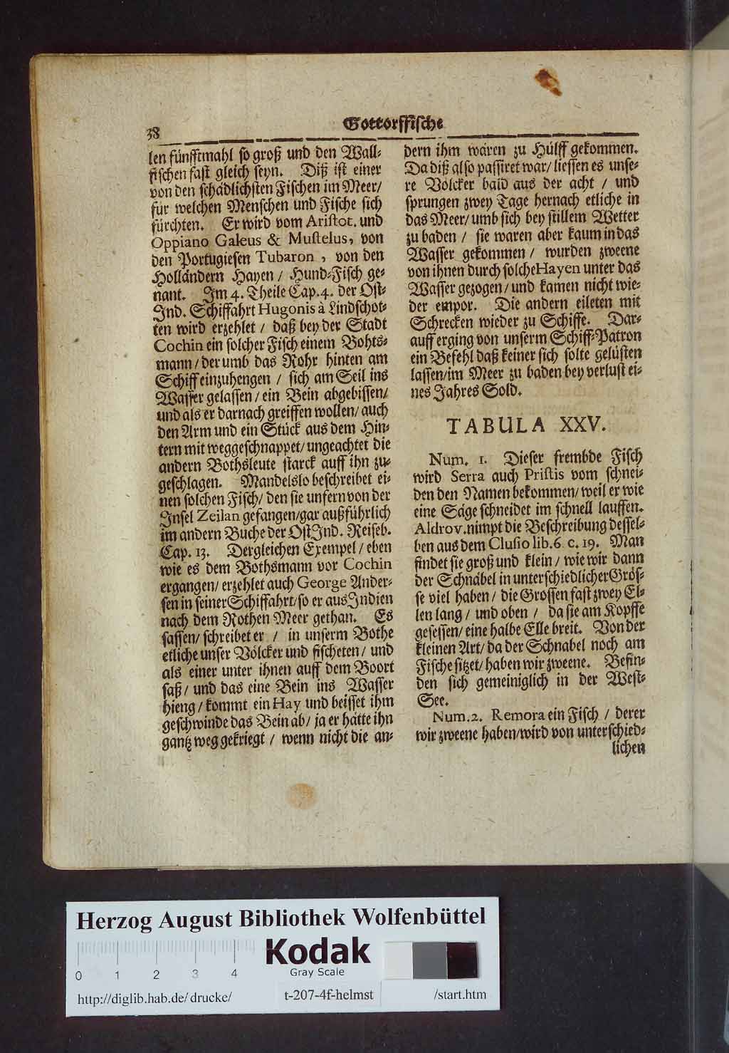 http://diglib.hab.de/drucke/t-207-4f-helmst/00054.jpg