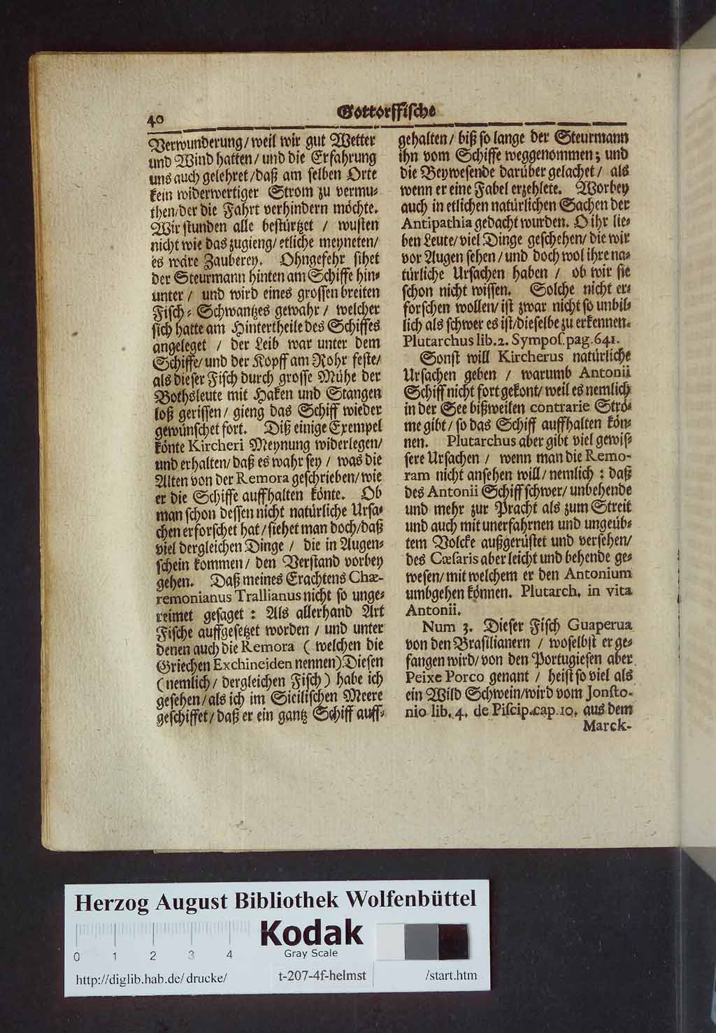 http://diglib.hab.de/drucke/t-207-4f-helmst/00056.jpg