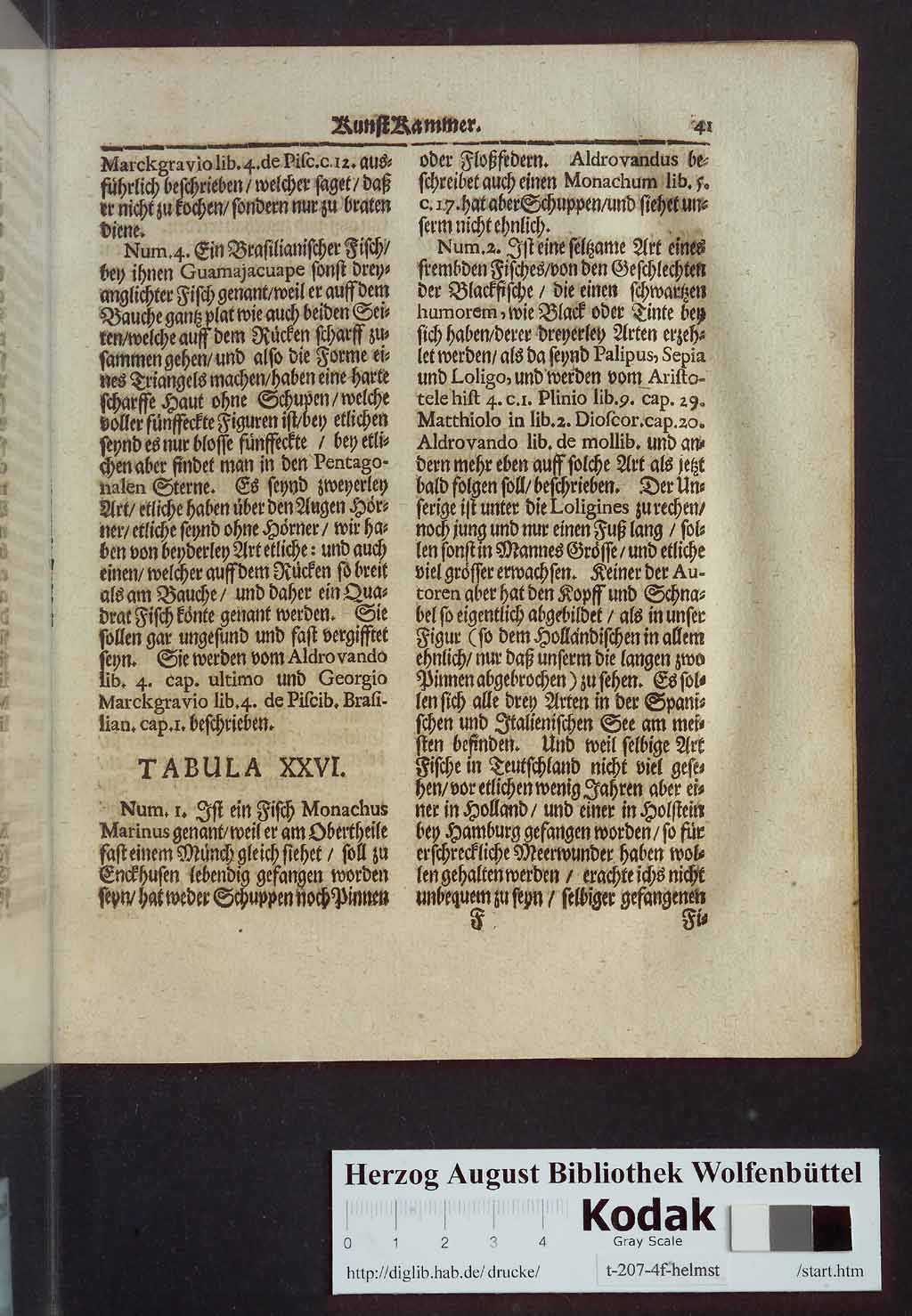 http://diglib.hab.de/drucke/t-207-4f-helmst/00057.jpg