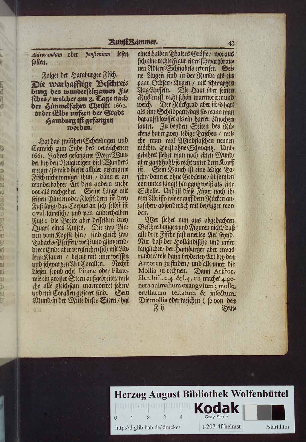 http://diglib.hab.de/drucke/t-207-4f-helmst/00061.jpg