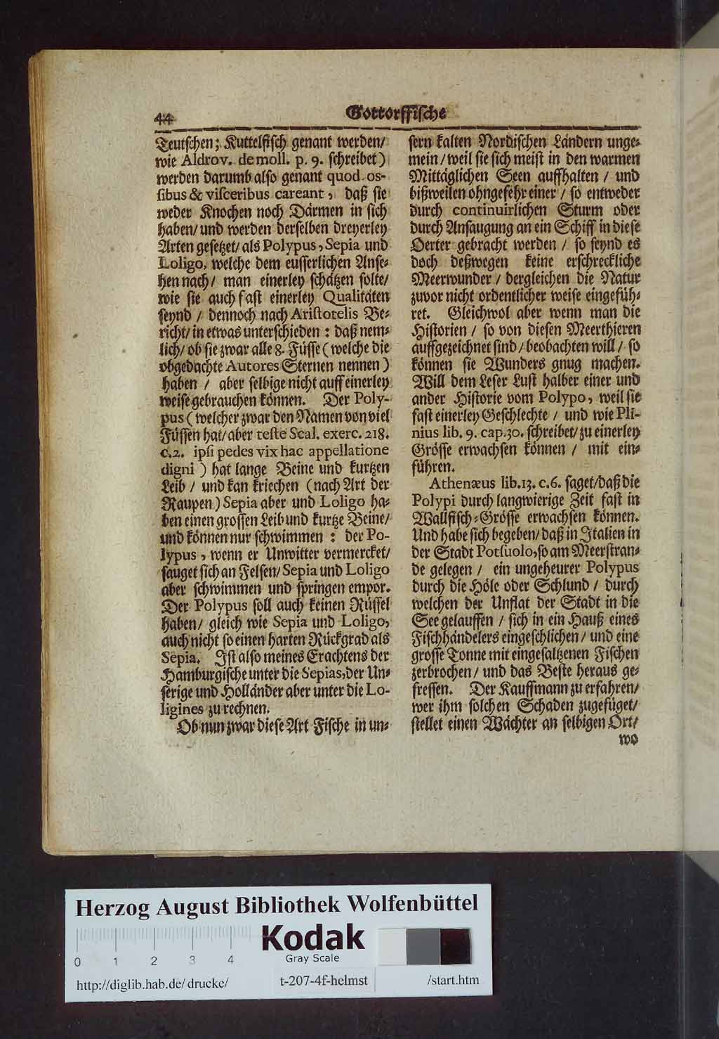 http://diglib.hab.de/drucke/t-207-4f-helmst/00062.jpg