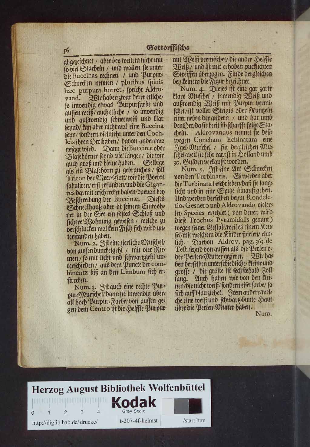 http://diglib.hab.de/drucke/t-207-4f-helmst/00076.jpg